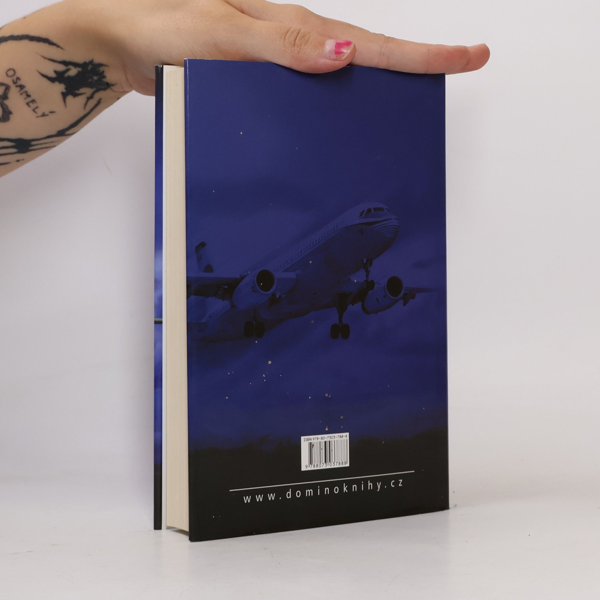 Robert Ludlum Matlockovo pověření
