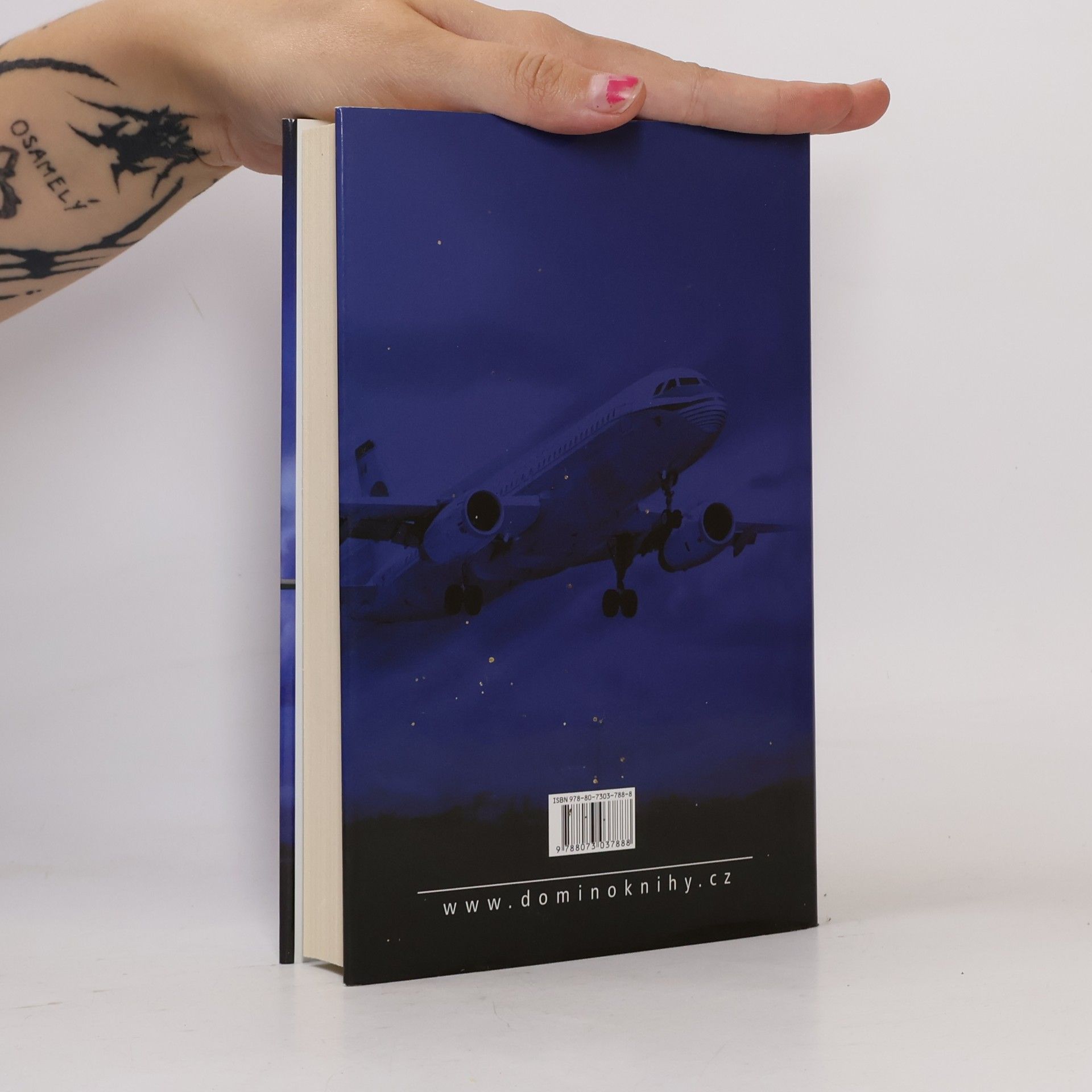 Robert Ludlum Matlockovo pověření