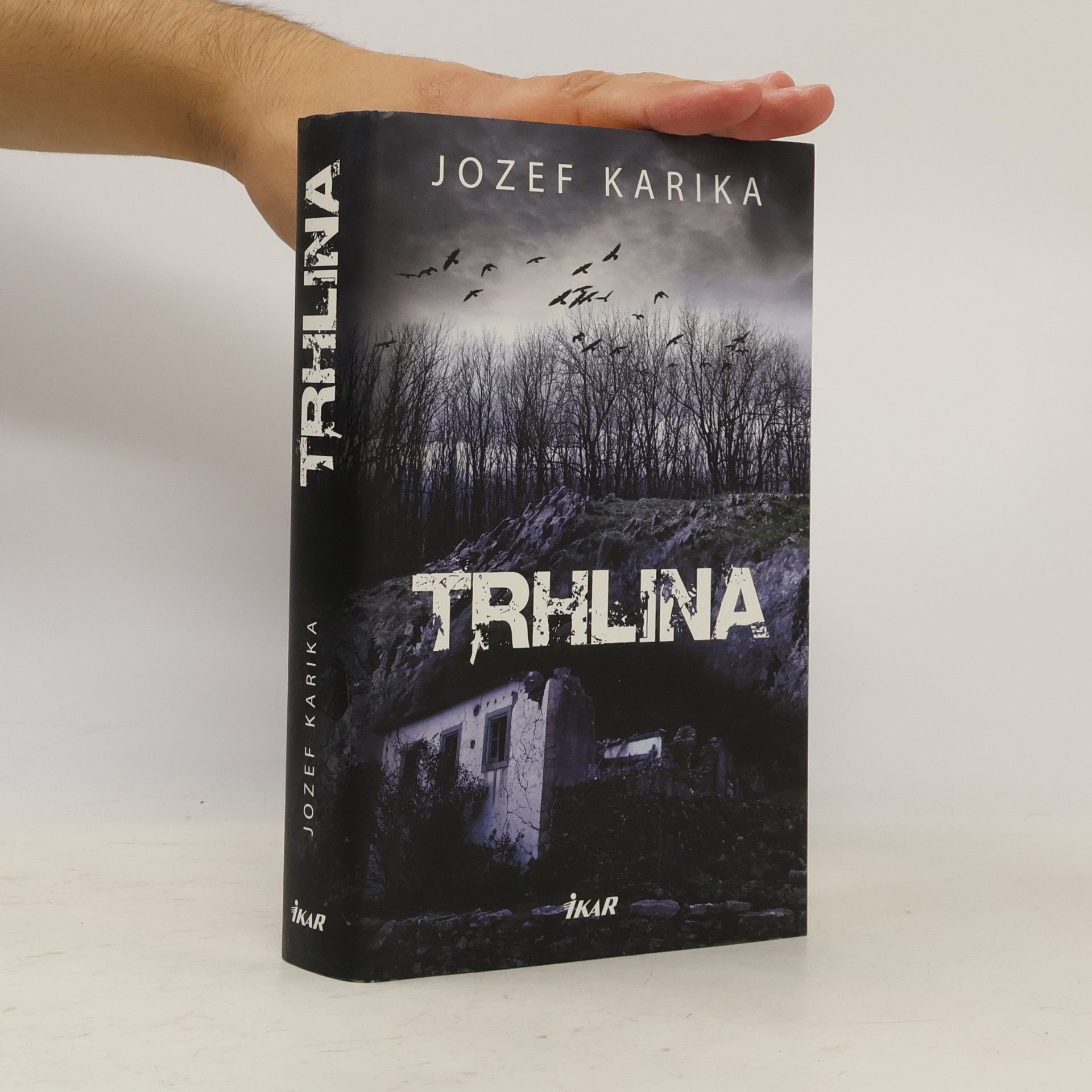 Jozef Karika Trhlina