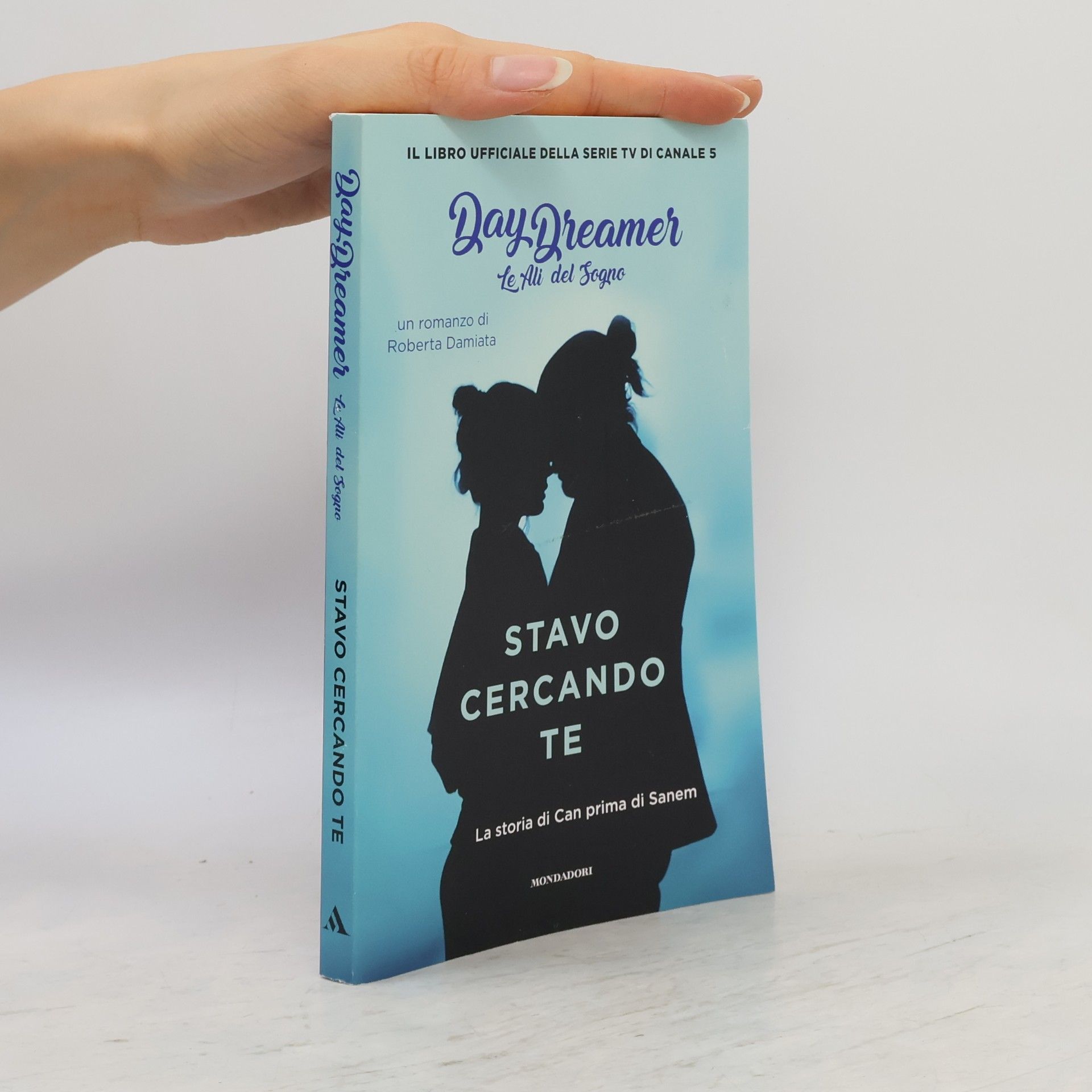 Roberta Damiata Stavo cercando te. La storia di Can prima di Sanem.