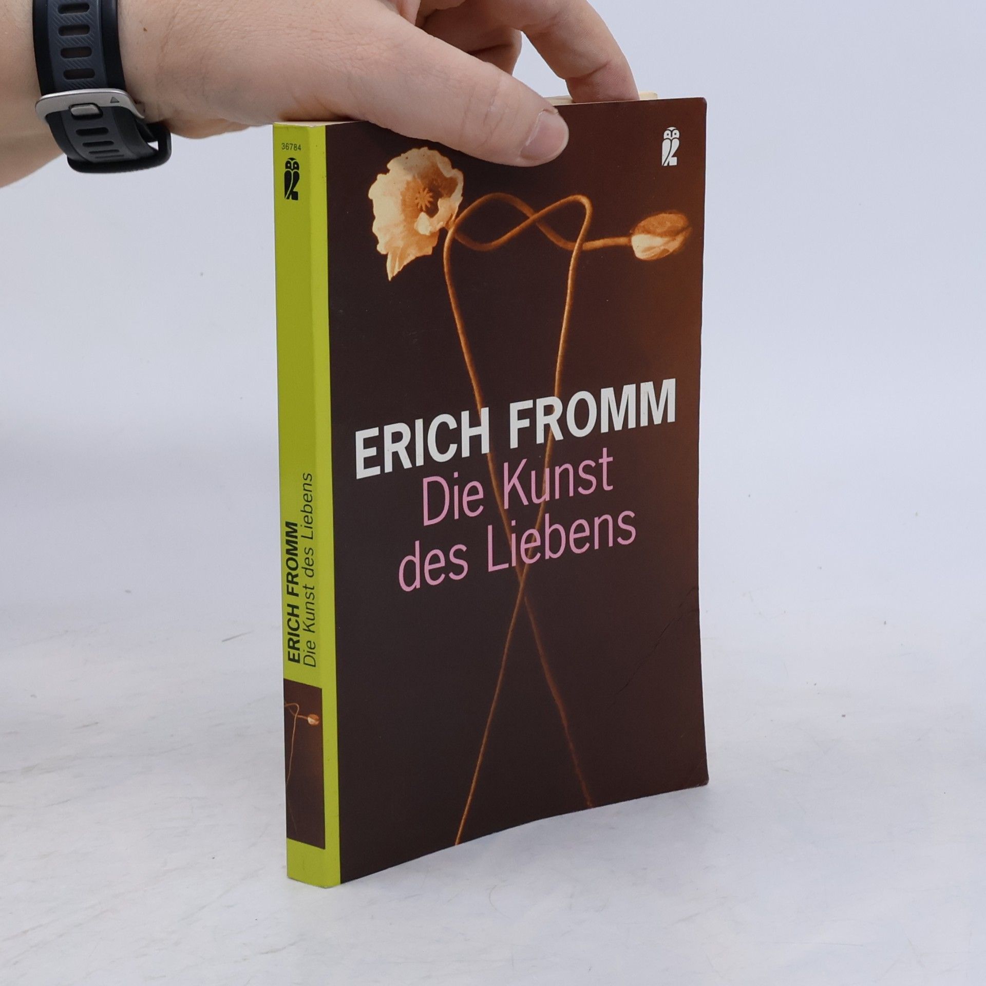 Erich Fromm Die Kunst des Liebens