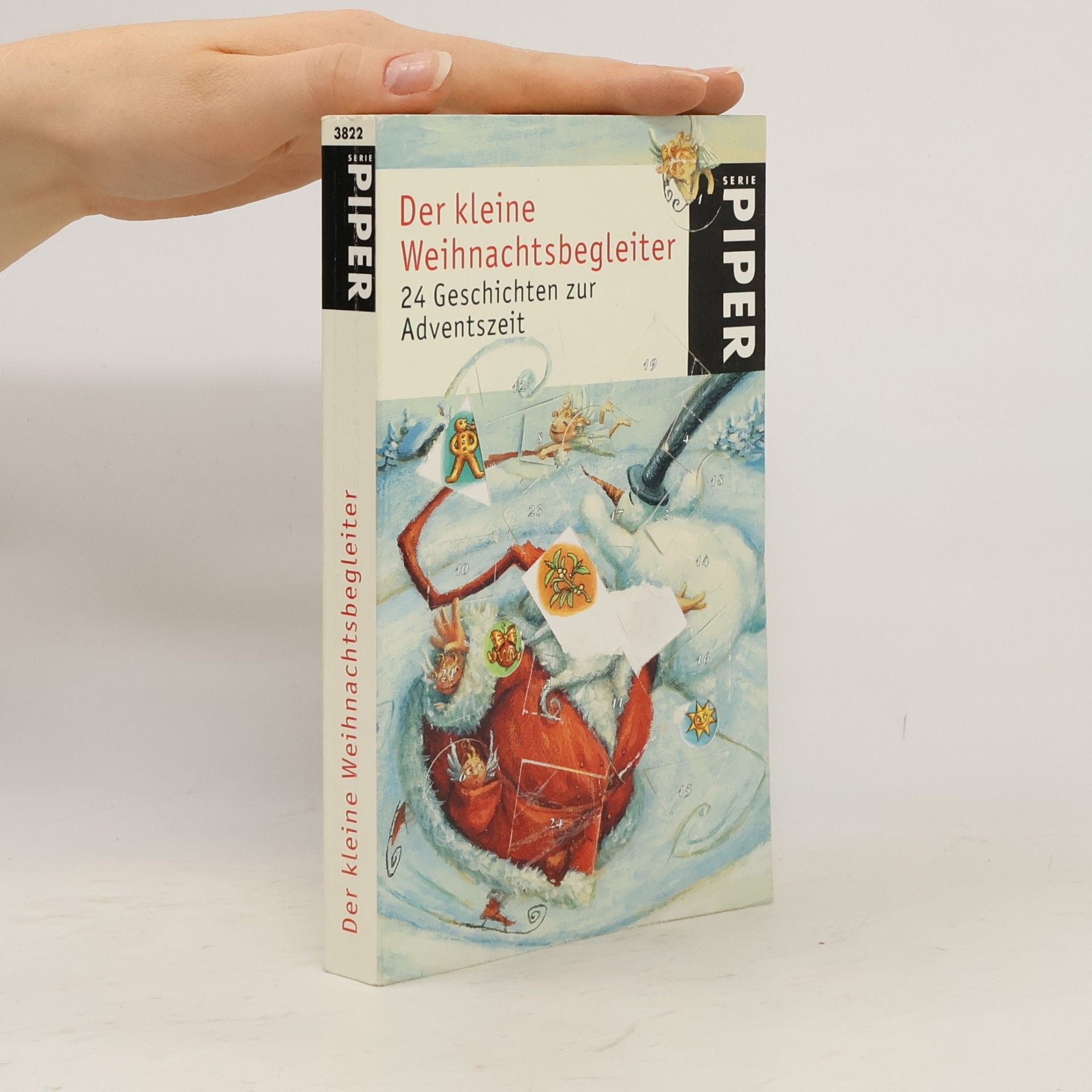 Anne Rademacher Der kleine Weihnachtsbegleiter