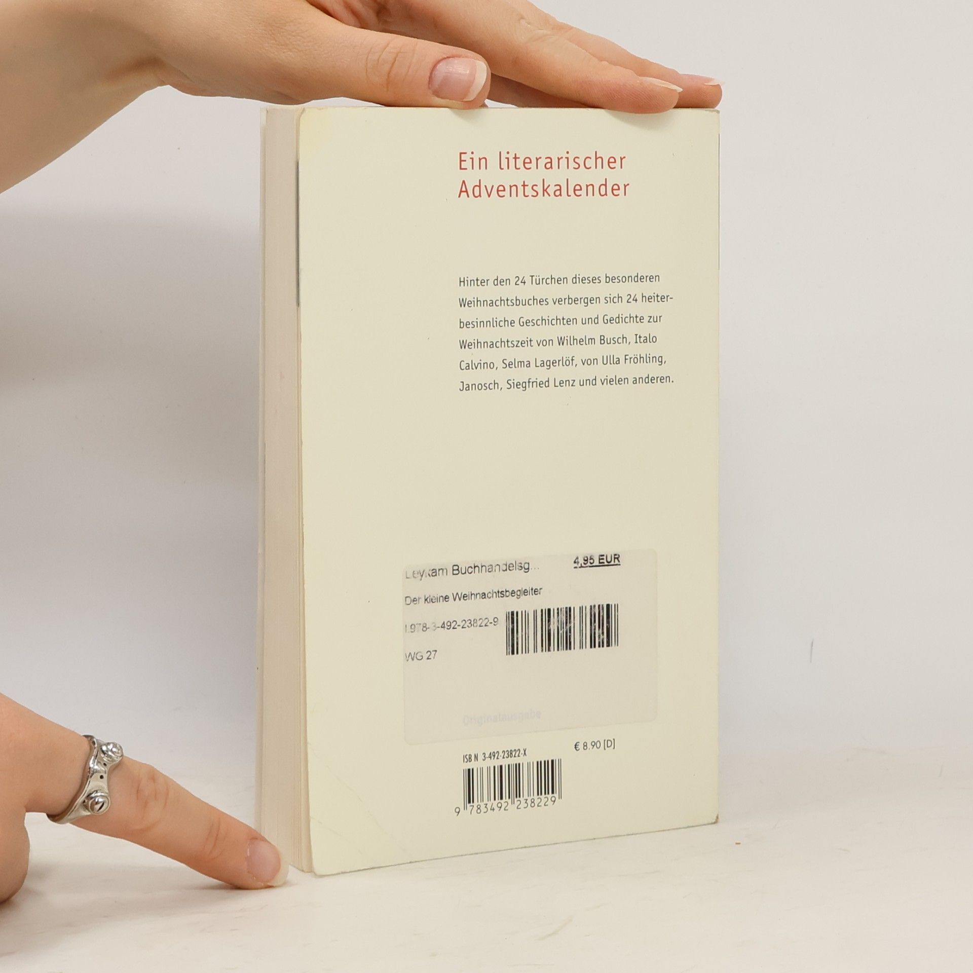 Anne Rademacher Der kleine Weihnachtsbegleiter