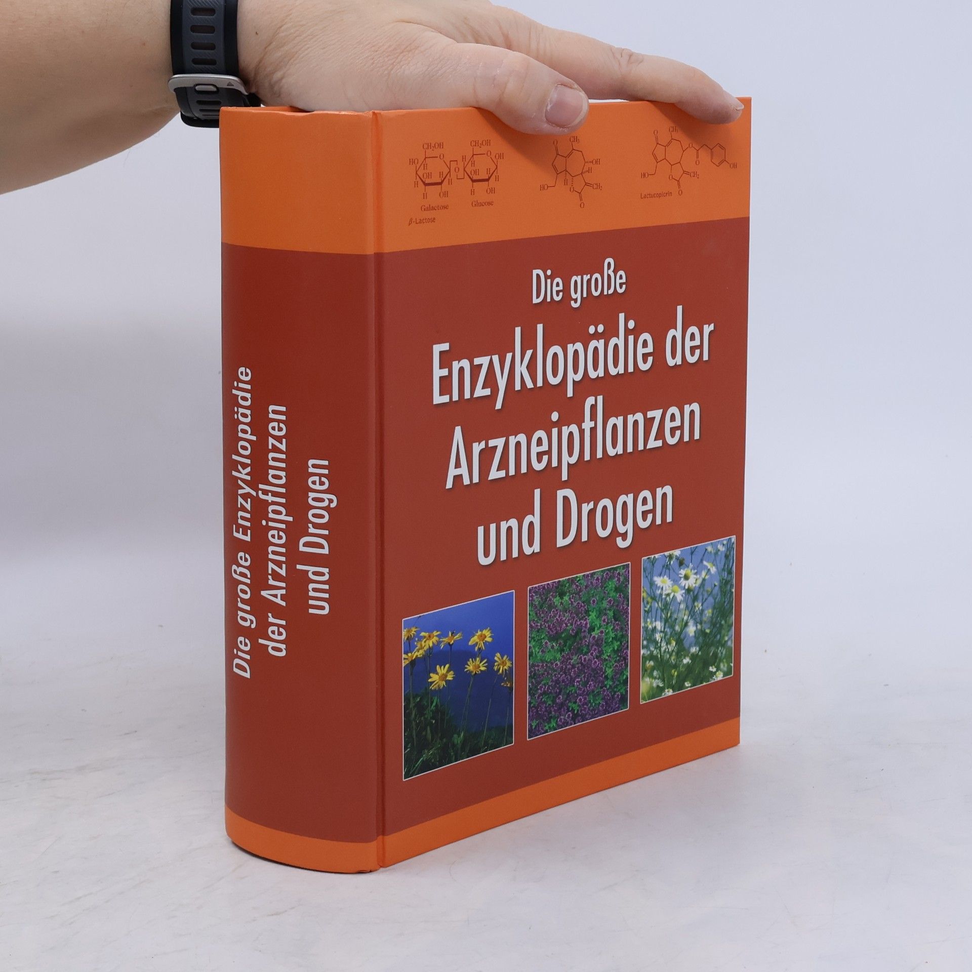 Various authors Die große Enzyklopädie der Arzneipflanzen und Drogen