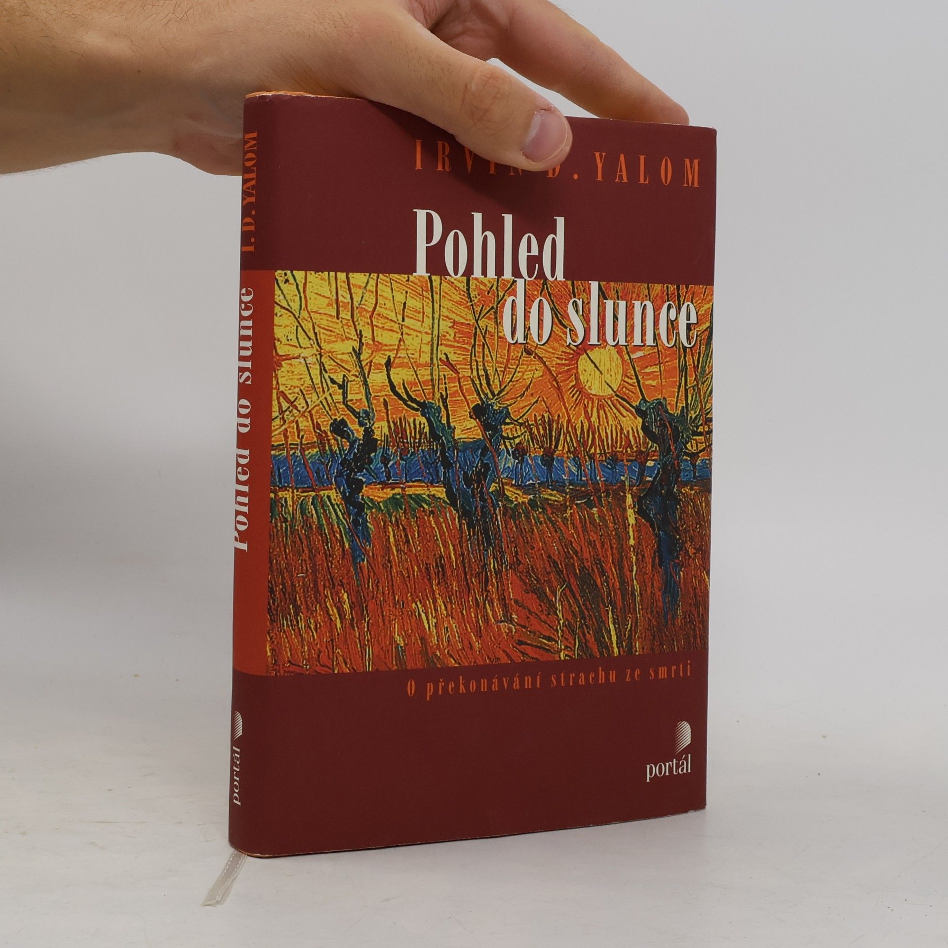 Irvin Yalom Pohled do slunce