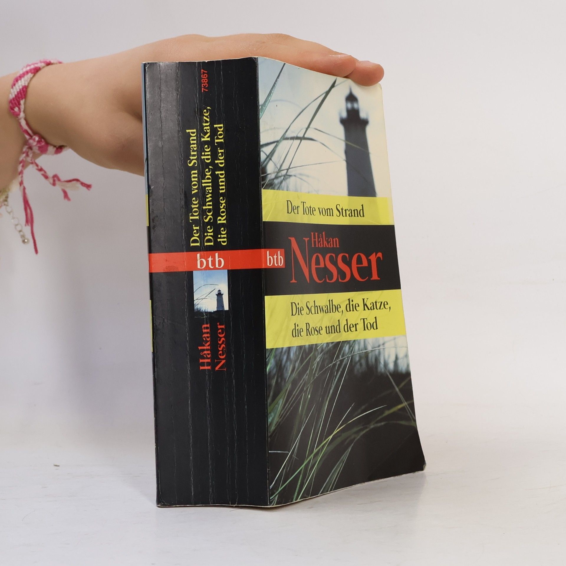Håkan Nesser Der Tote vom Strand