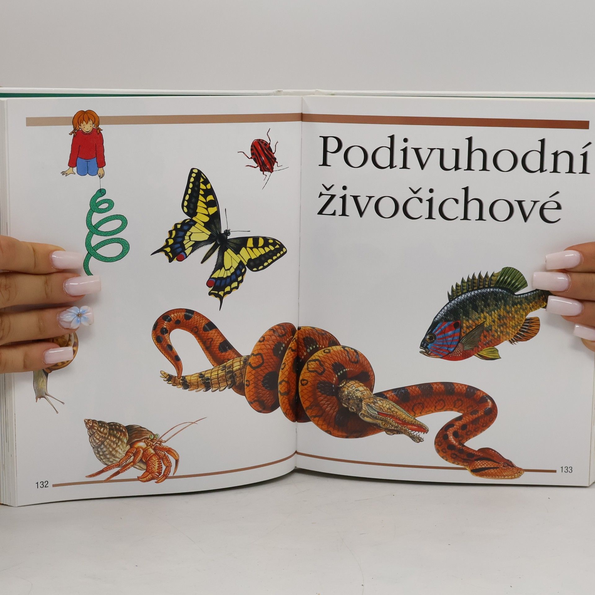 Angela Wilkes První encyklopedie pro malé čtenáře