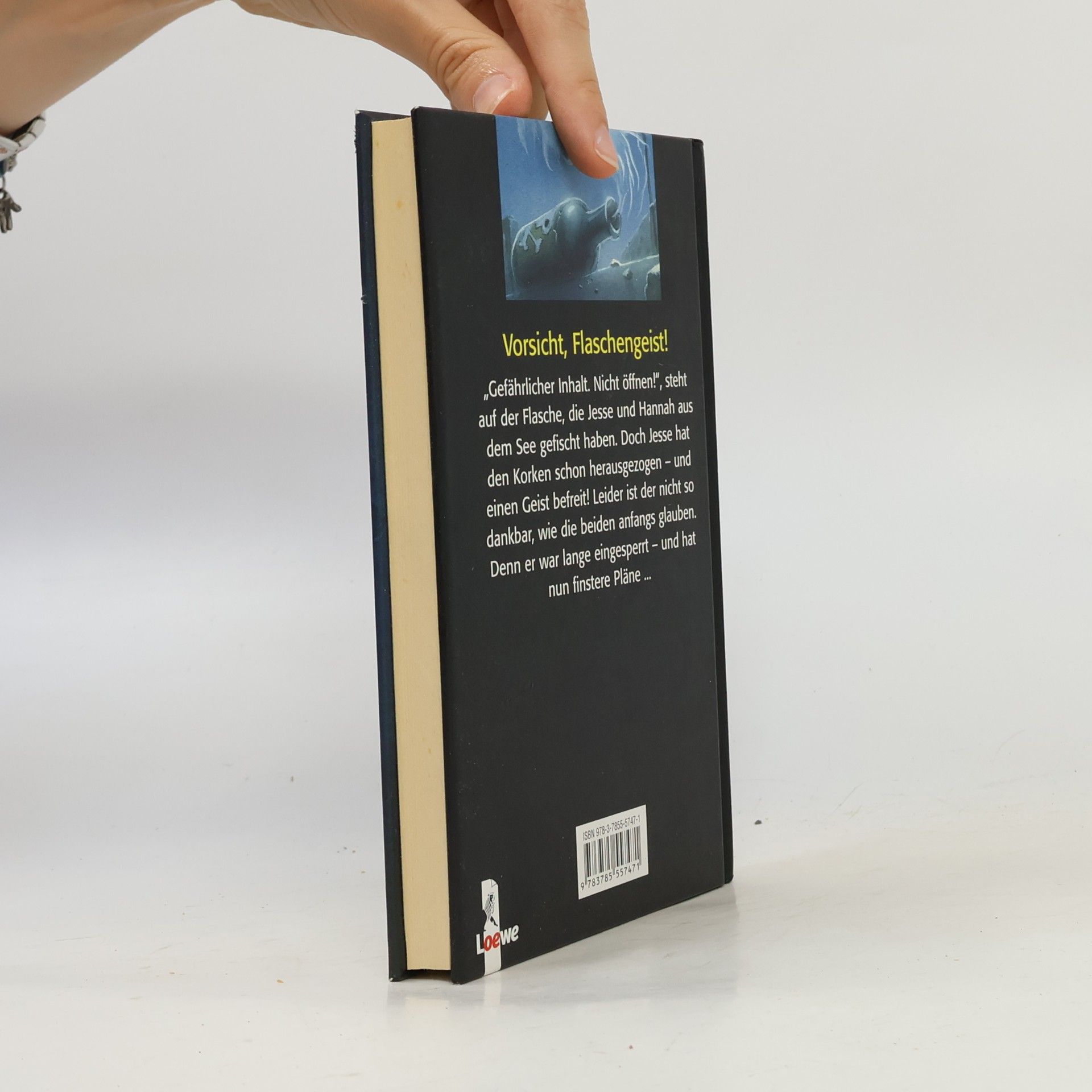 R. L. Stine Das Grauen aus der Flasche