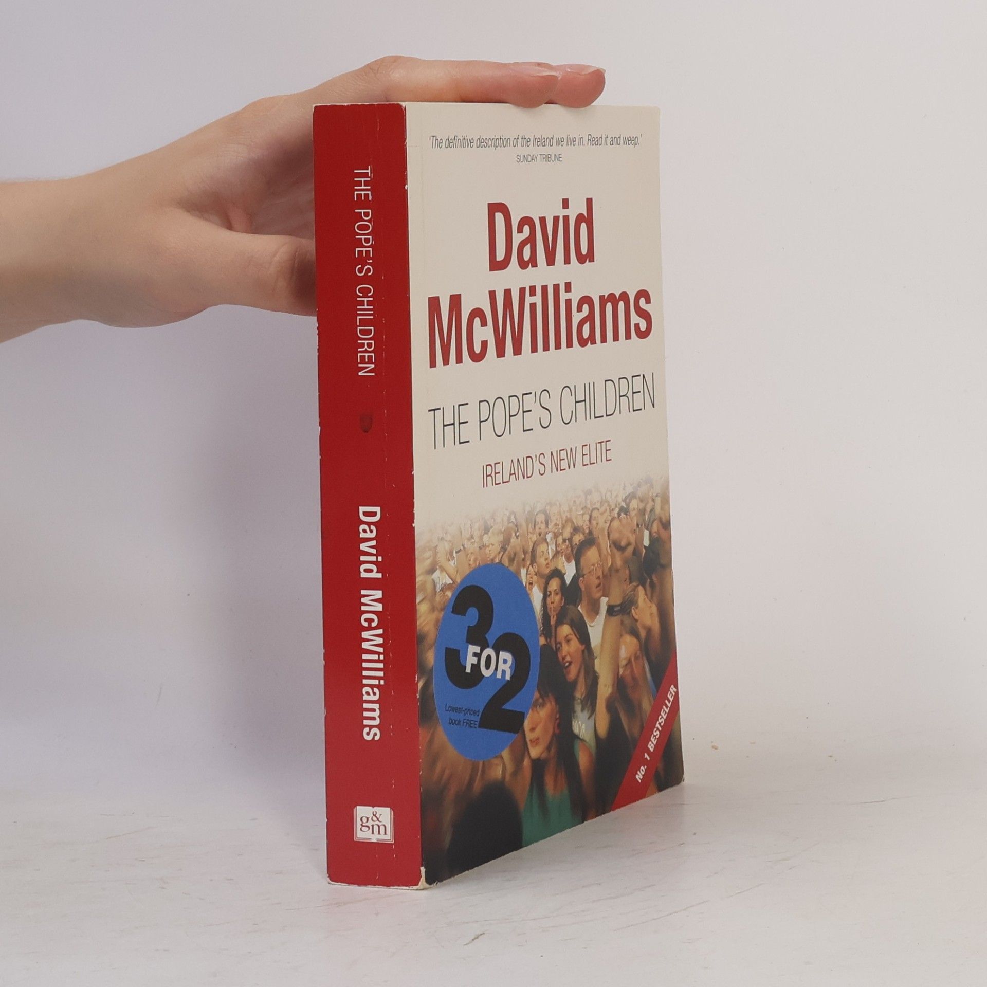 David McWilliams The Pope's Children