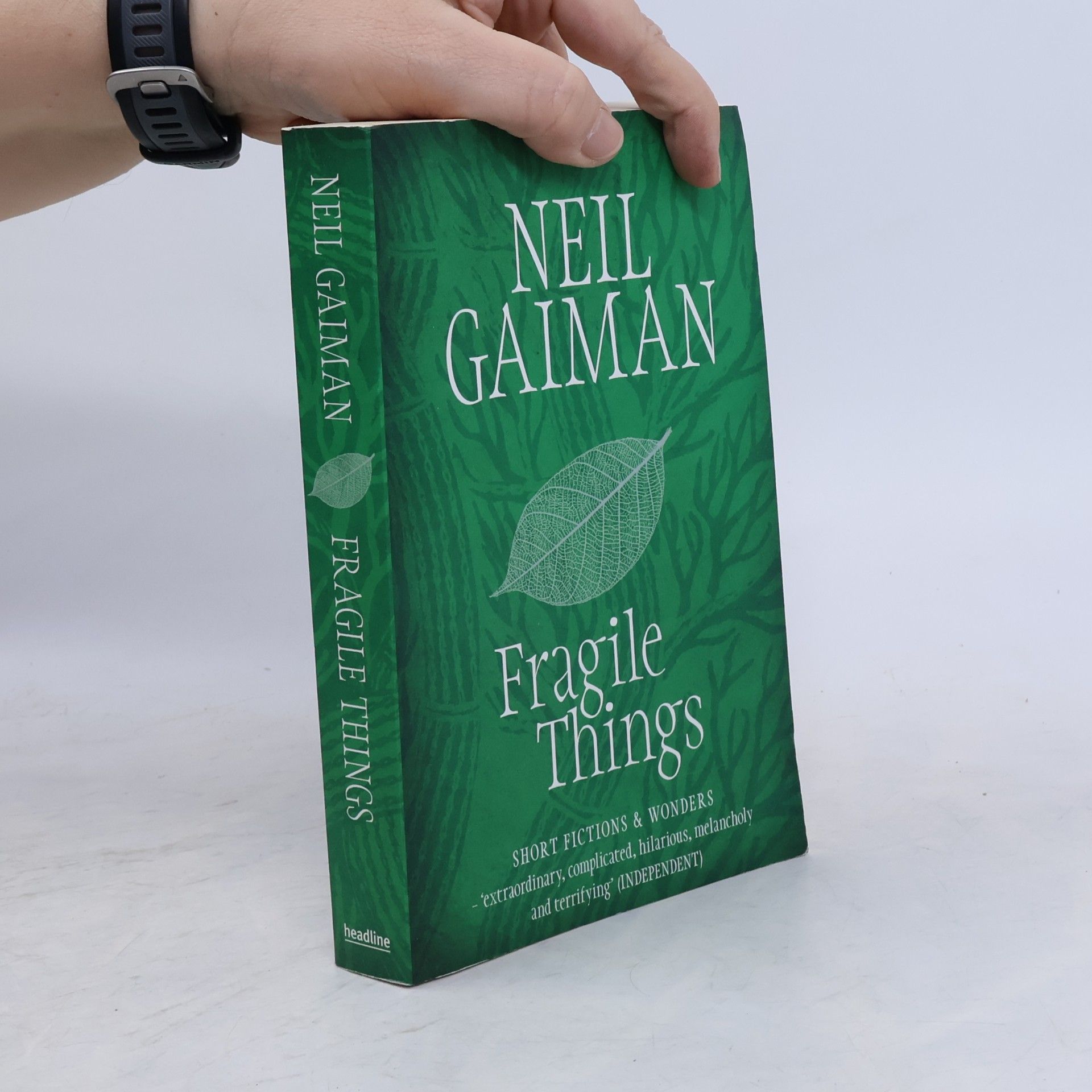 Neil Gaiman Fragile Things