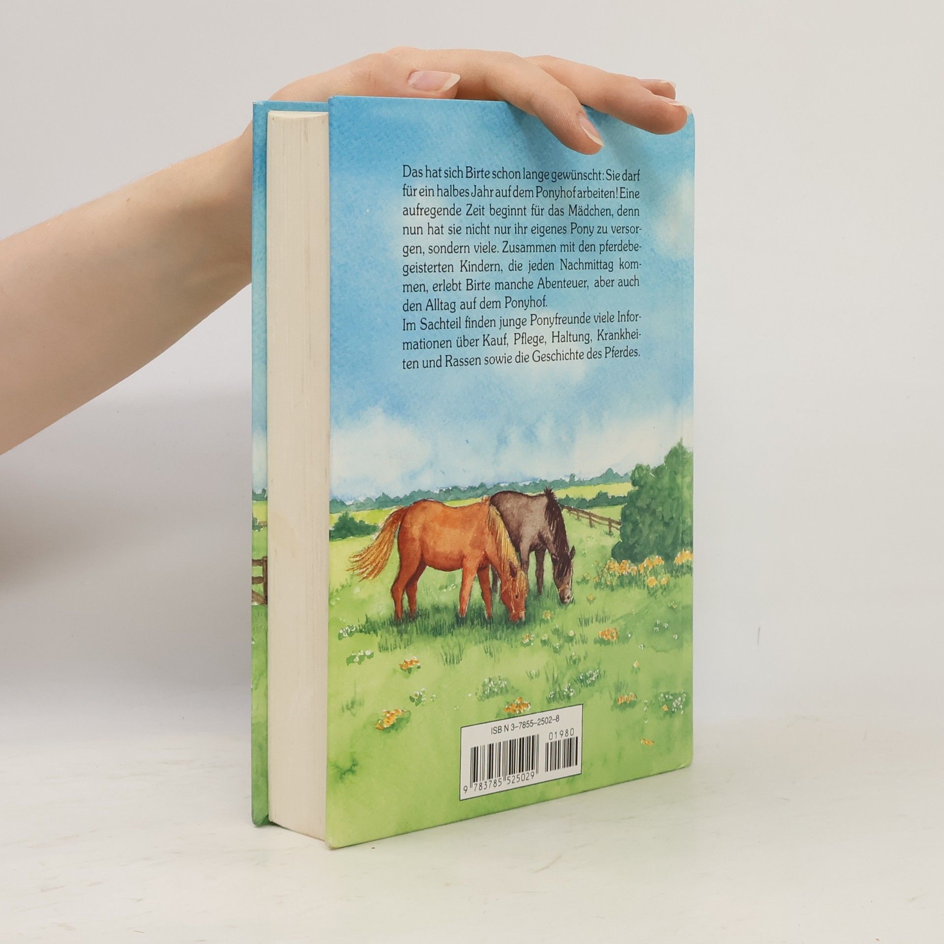 Marianne Späh Leselöwen-Ponybuch