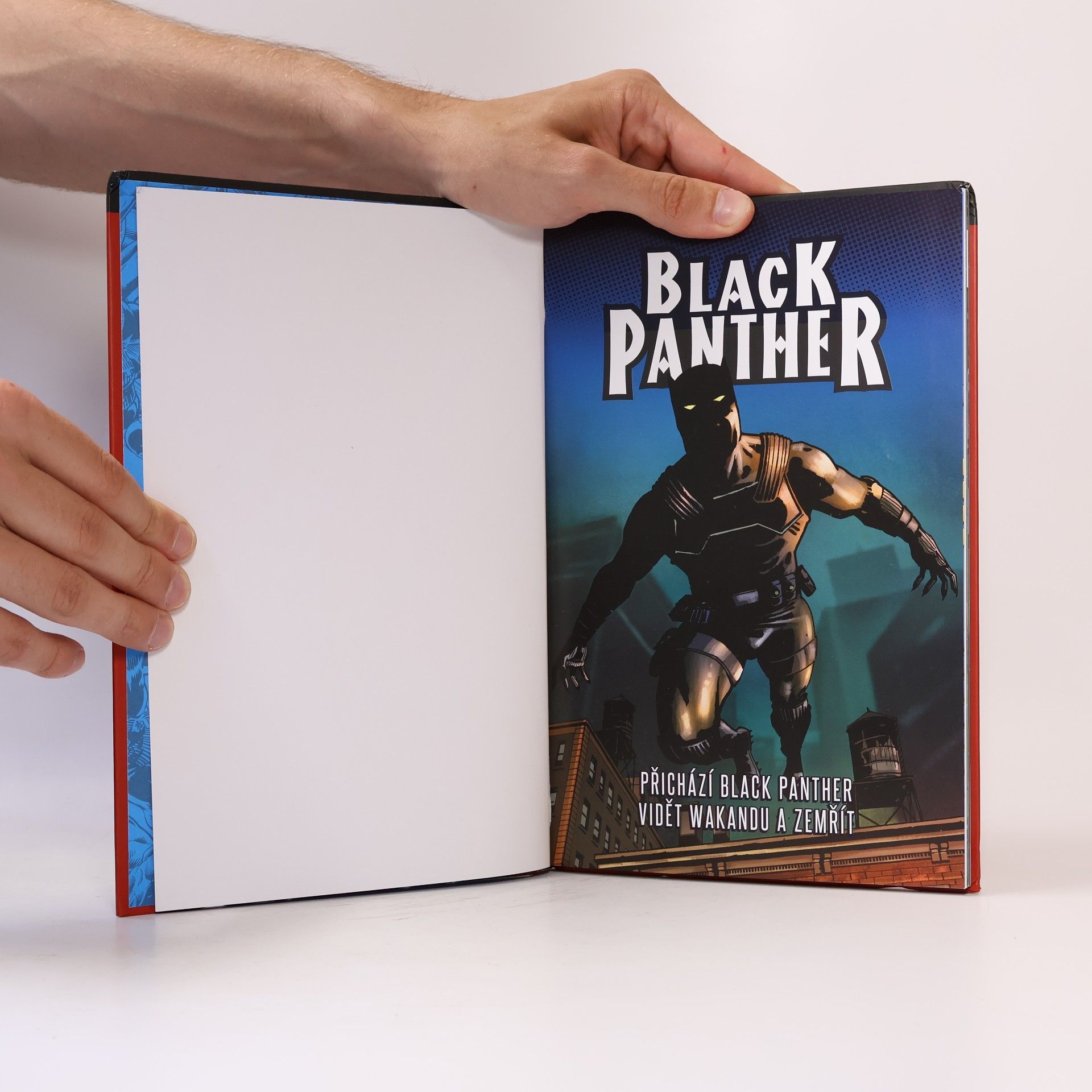 Stan Lee Nejmocnější hrdinové Marvelu 22. Black Panther