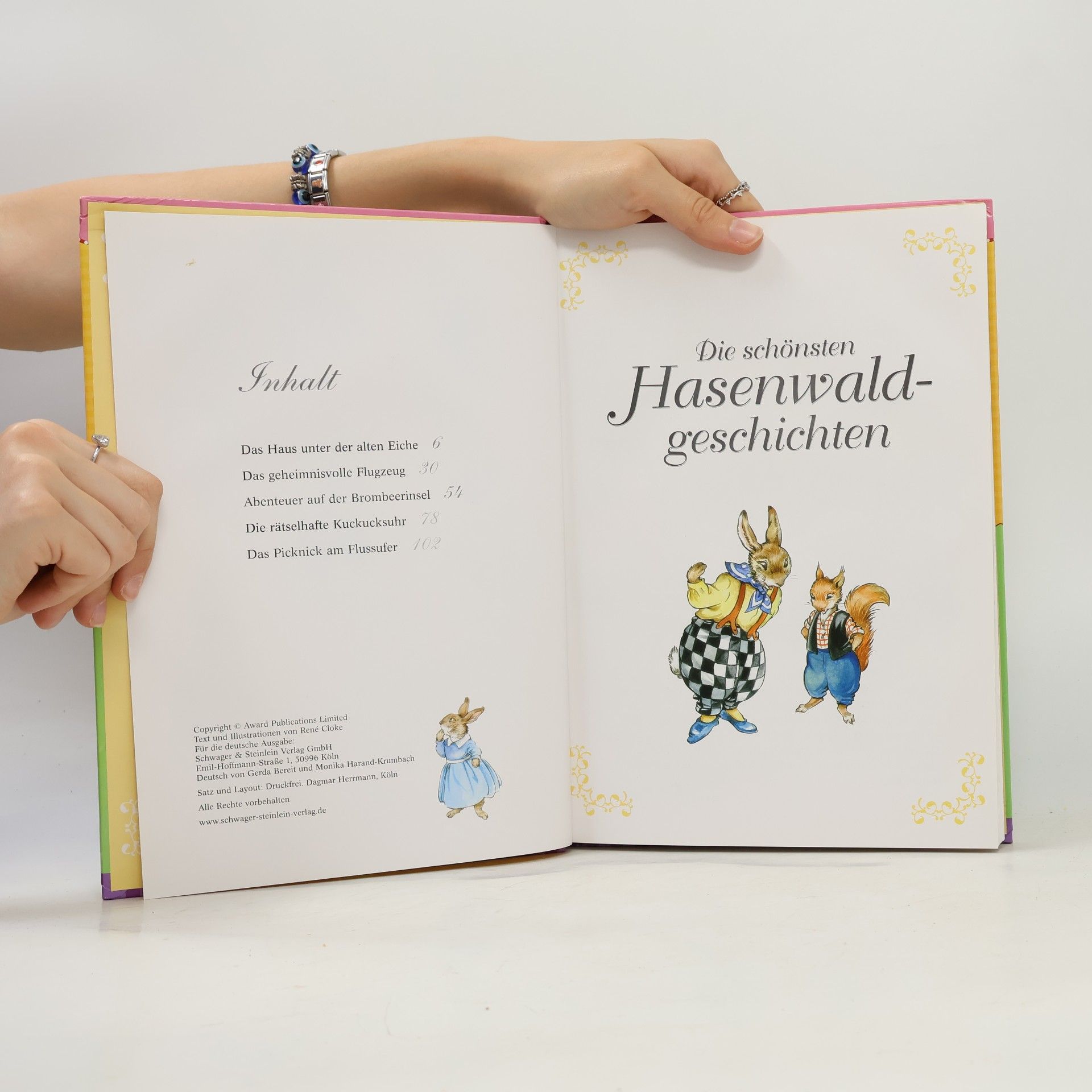 Autorenkollektiv Die schönsten Hasenwaldgeschichten