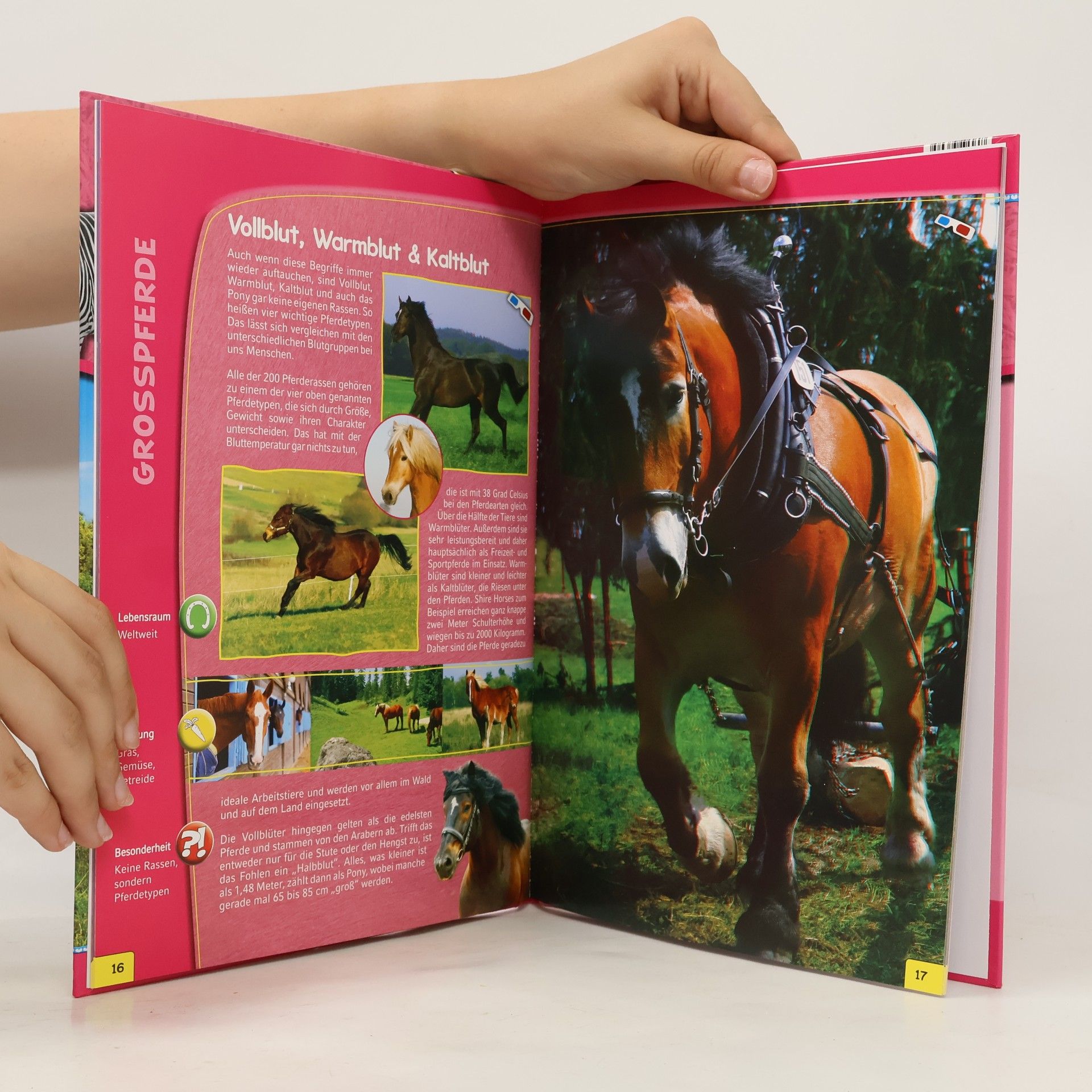 Various authors Ponys und Pferde 3D
