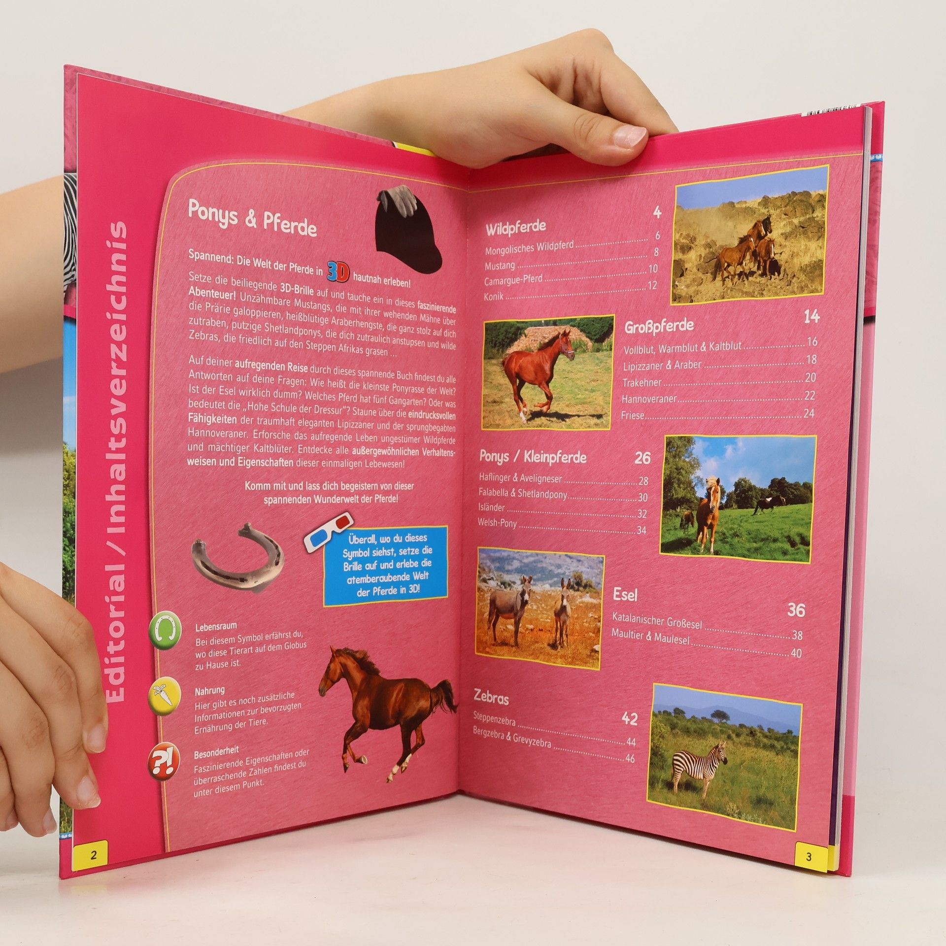 Various authors Ponys und Pferde 3D