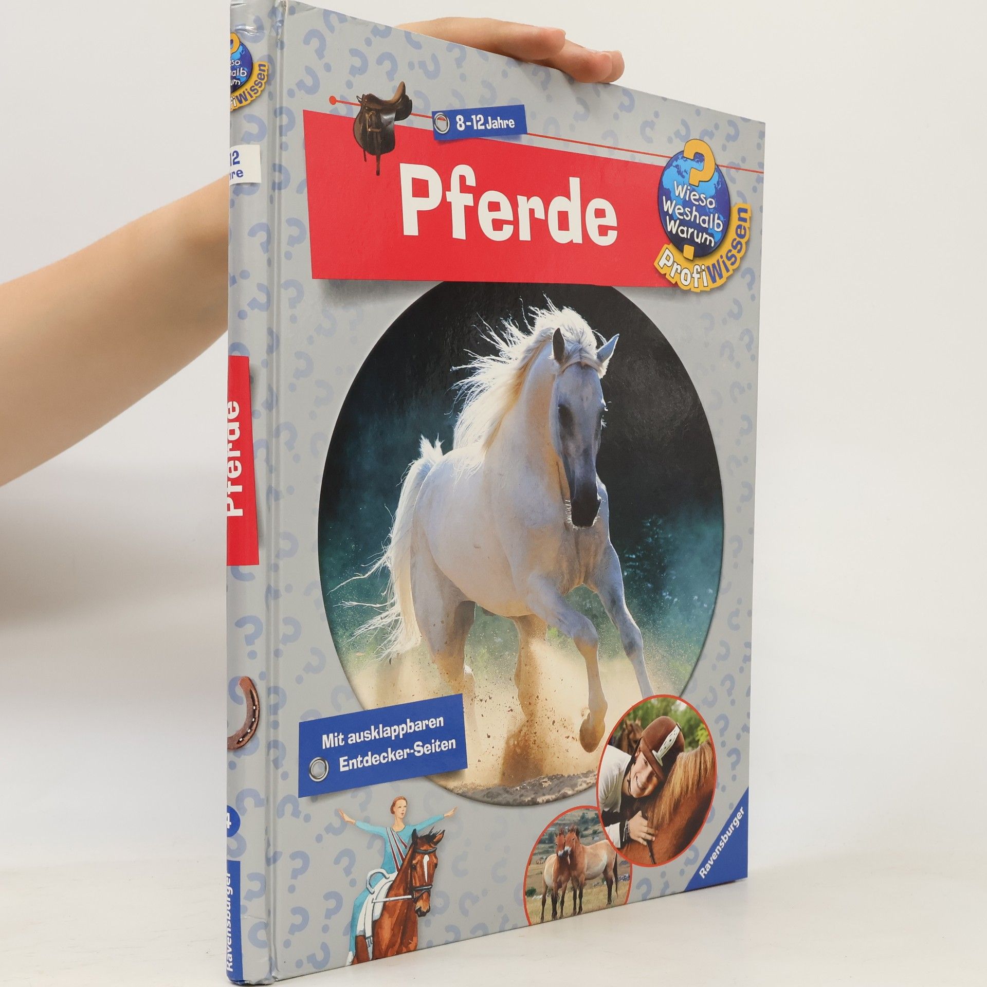 Kolektiv autorů Pferde