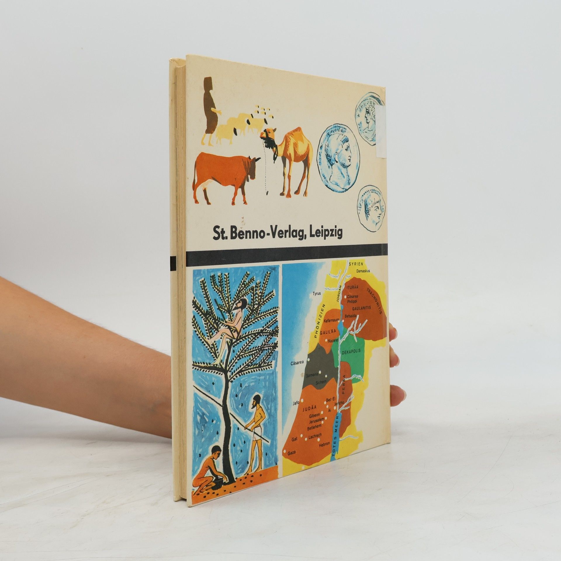 Autorenkollektiv Biblisches Lexikon für jung und alt