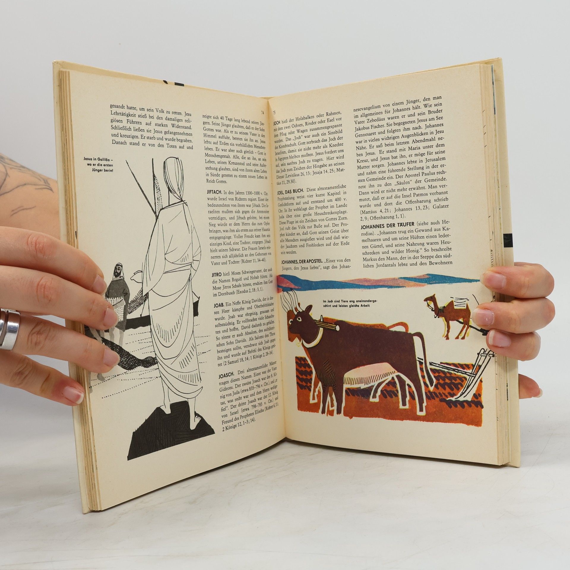 Autorenkollektiv Biblisches Lexikon für jung und alt