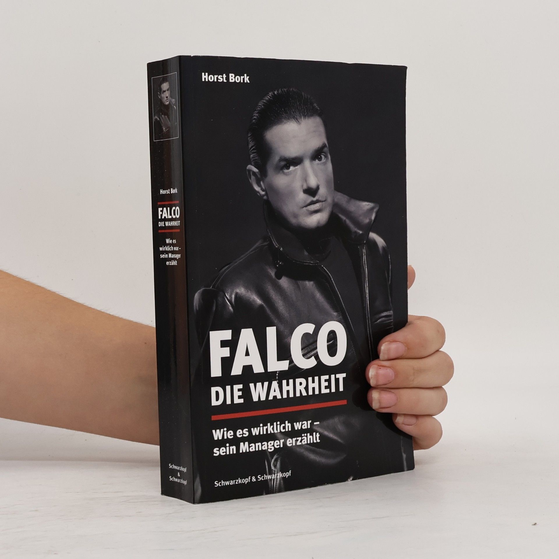 Horst Bork Falco - Die Wahrheit