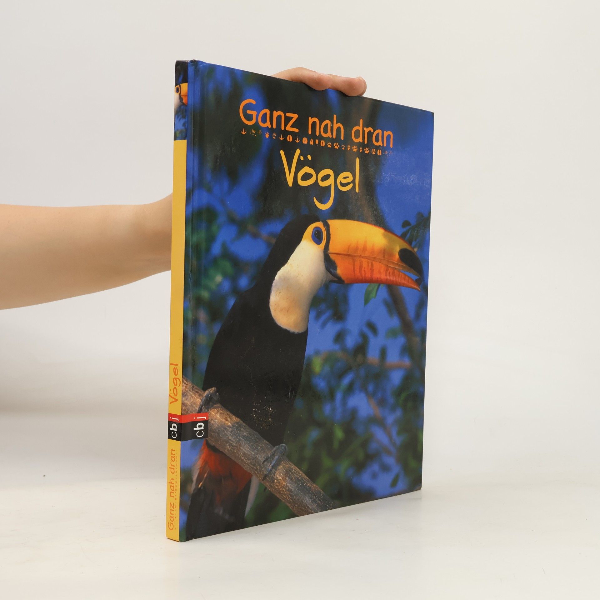 Vögel