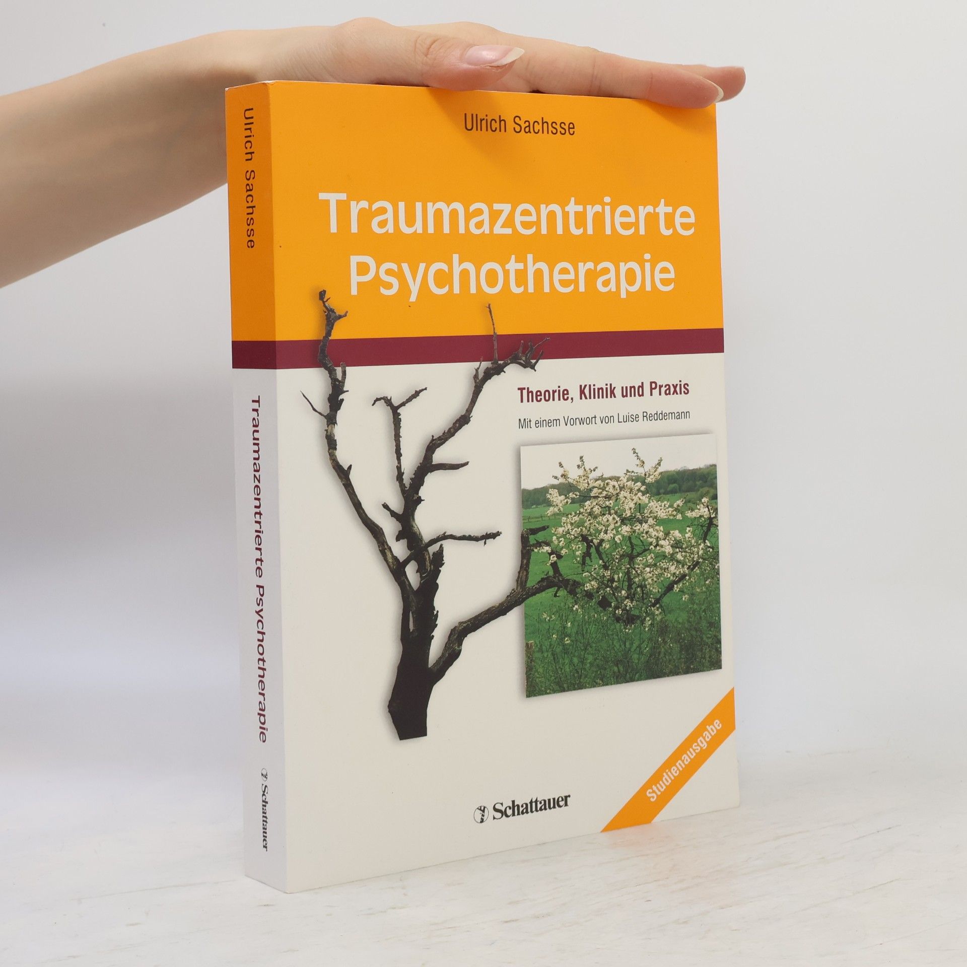 Ulrich Sachsse Traumazentrierte Psychotherapie