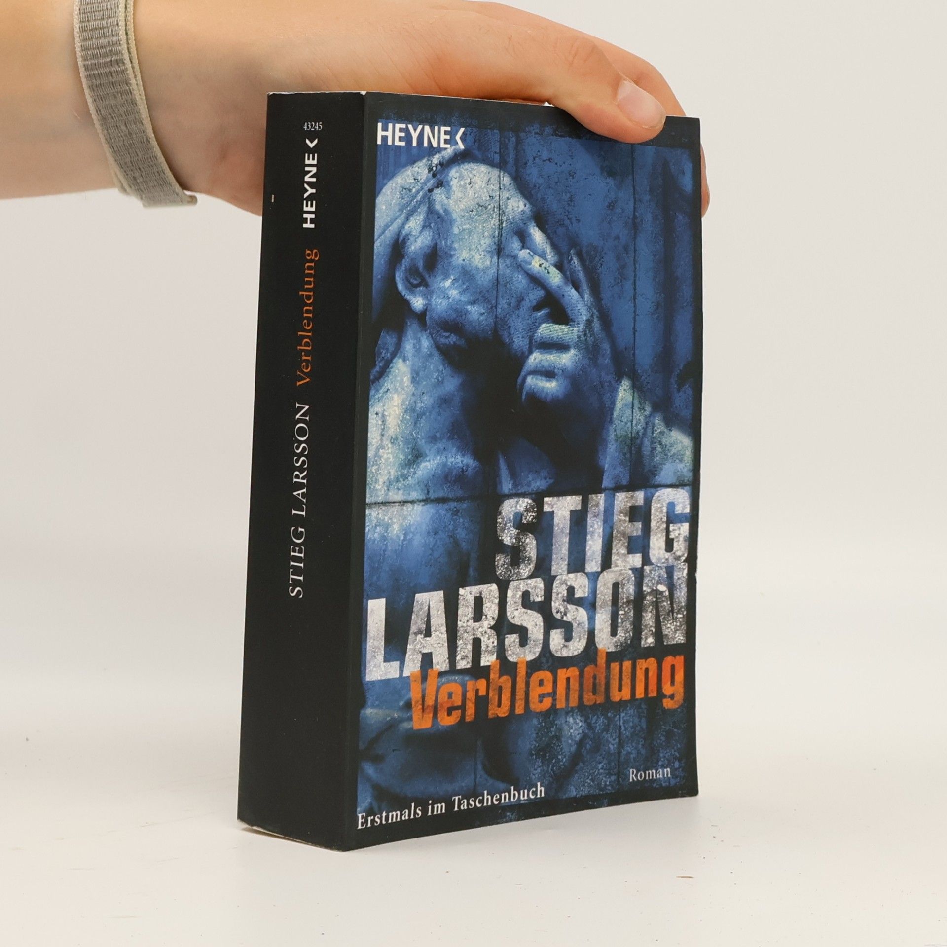 Stieg Larsson Verblendung