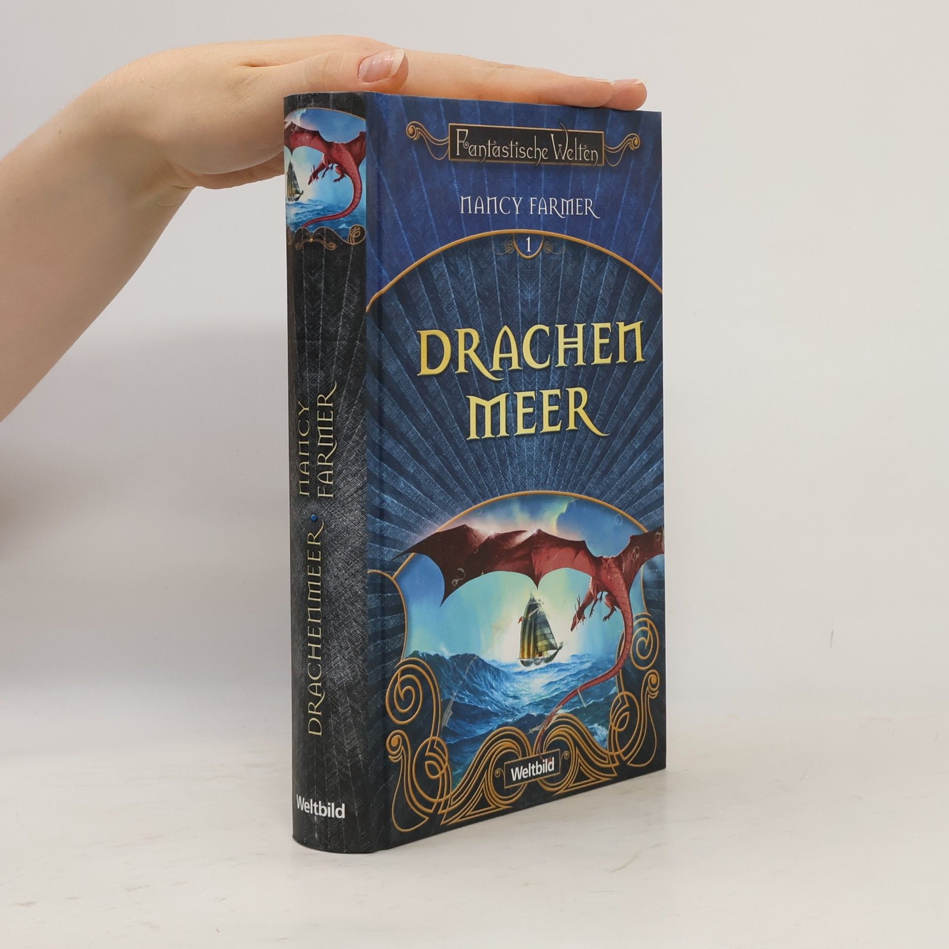 Nancy Farmer Drachen Meer 1