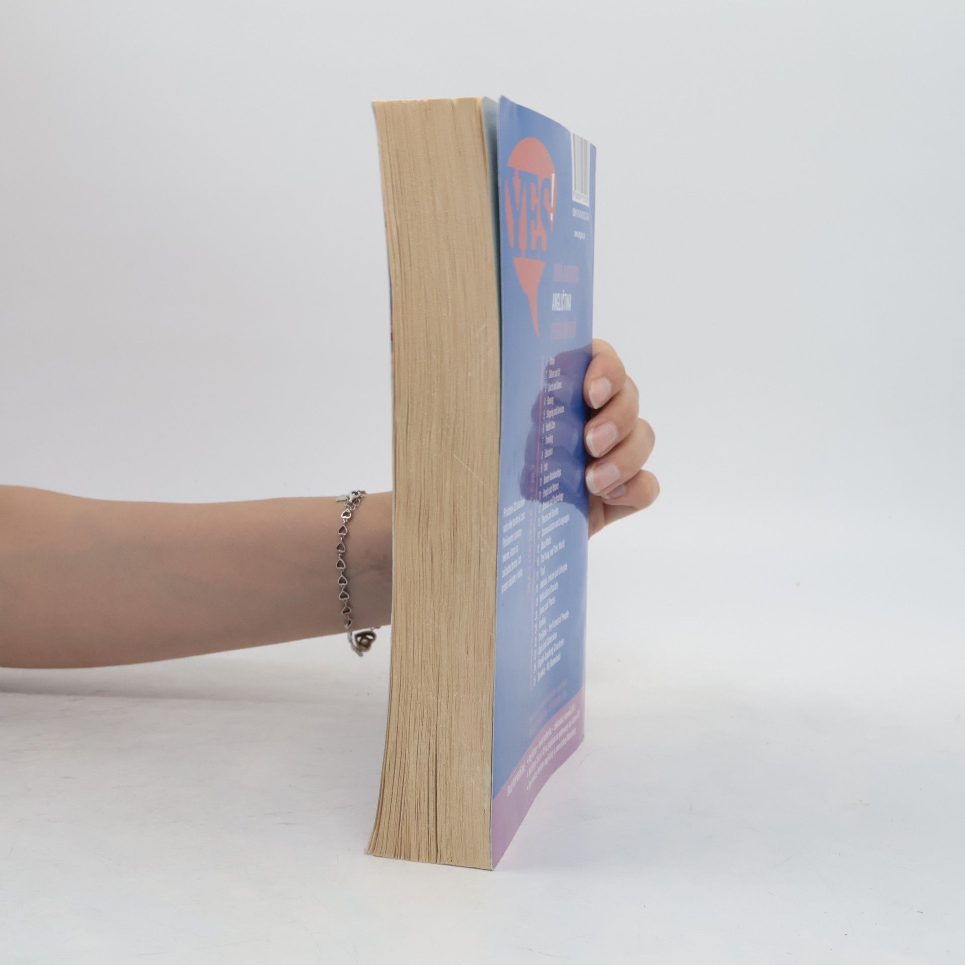 Various authors Yes! Angličtina. Nová maturita B2. Vyššia úroveň