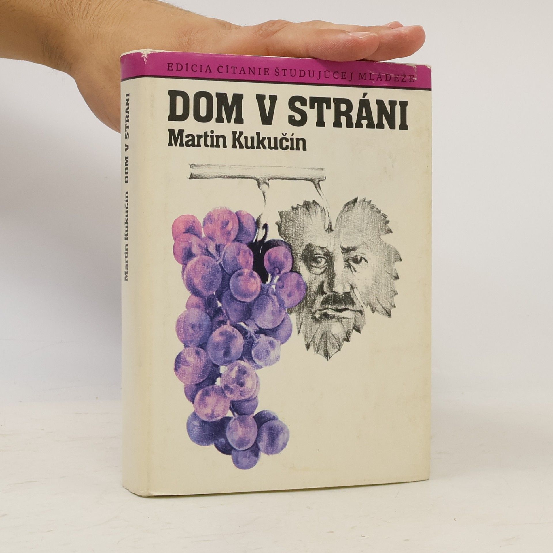 Martin Kukučín Dom v stráni