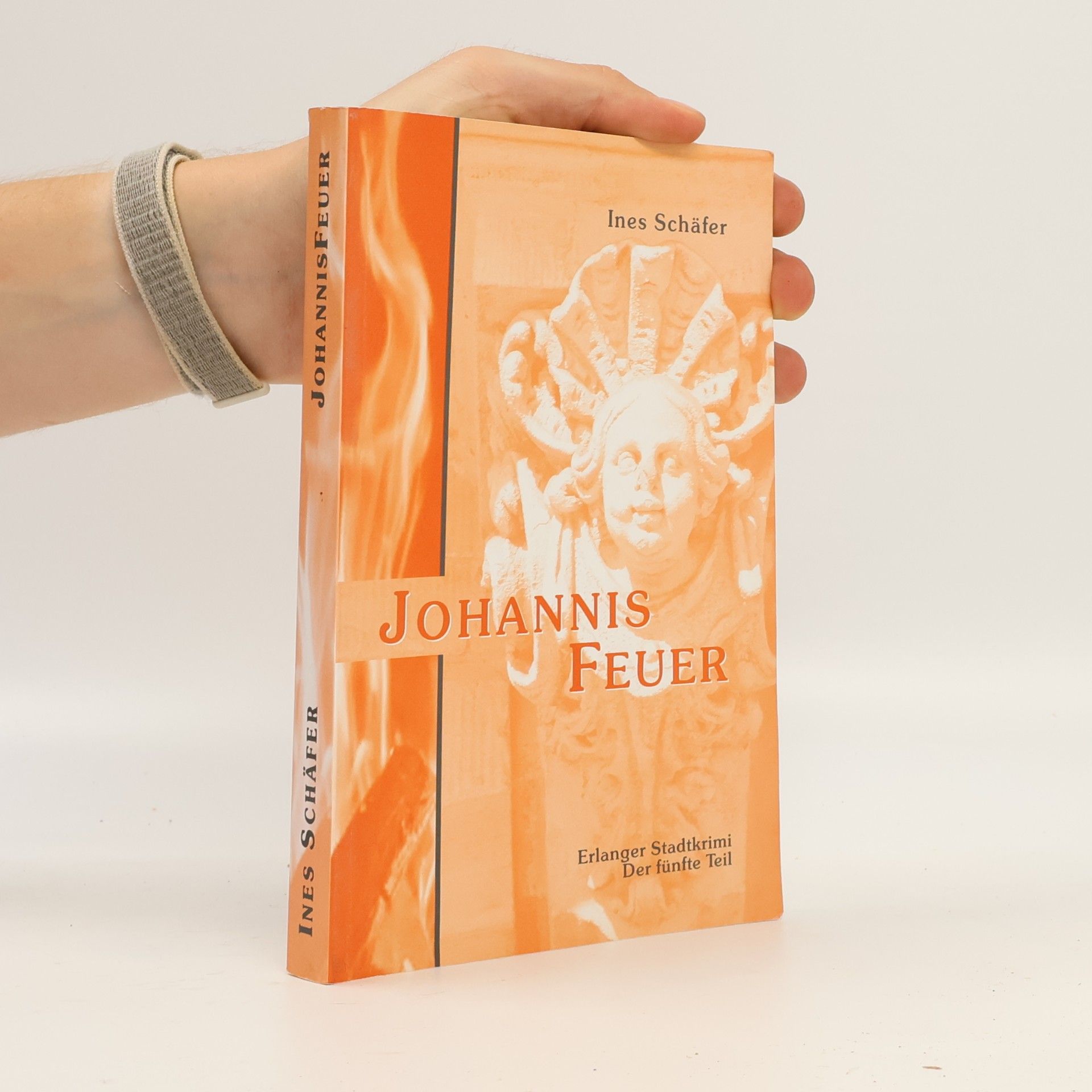 Ines Schäfer Erlanger Stadtkrimi - 5: Johannisfeuer