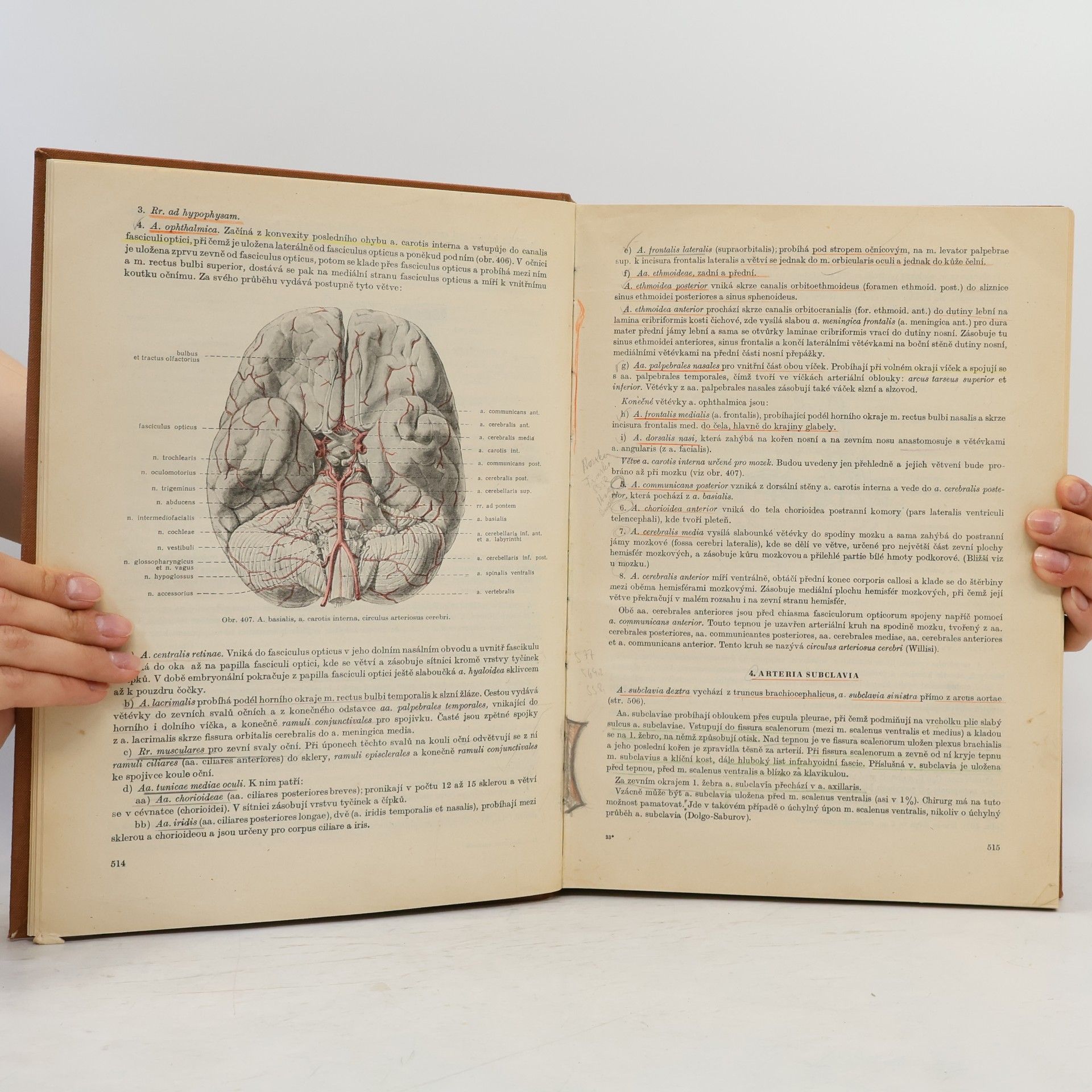 Collectif d'auteurs Soustavná anatomie člověka II.