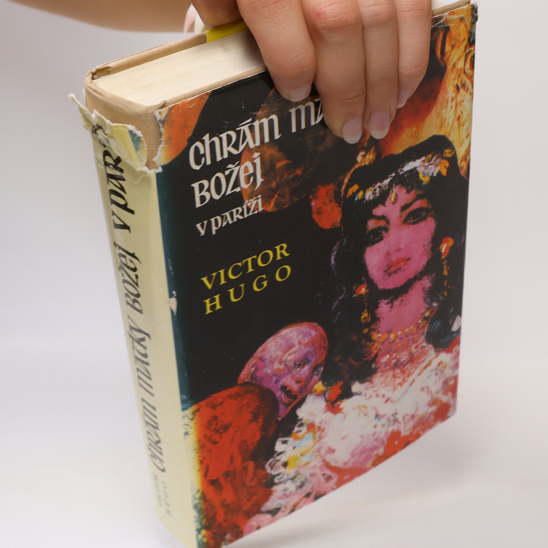 Victor Hugo Chrám Matky Božej v Paríži