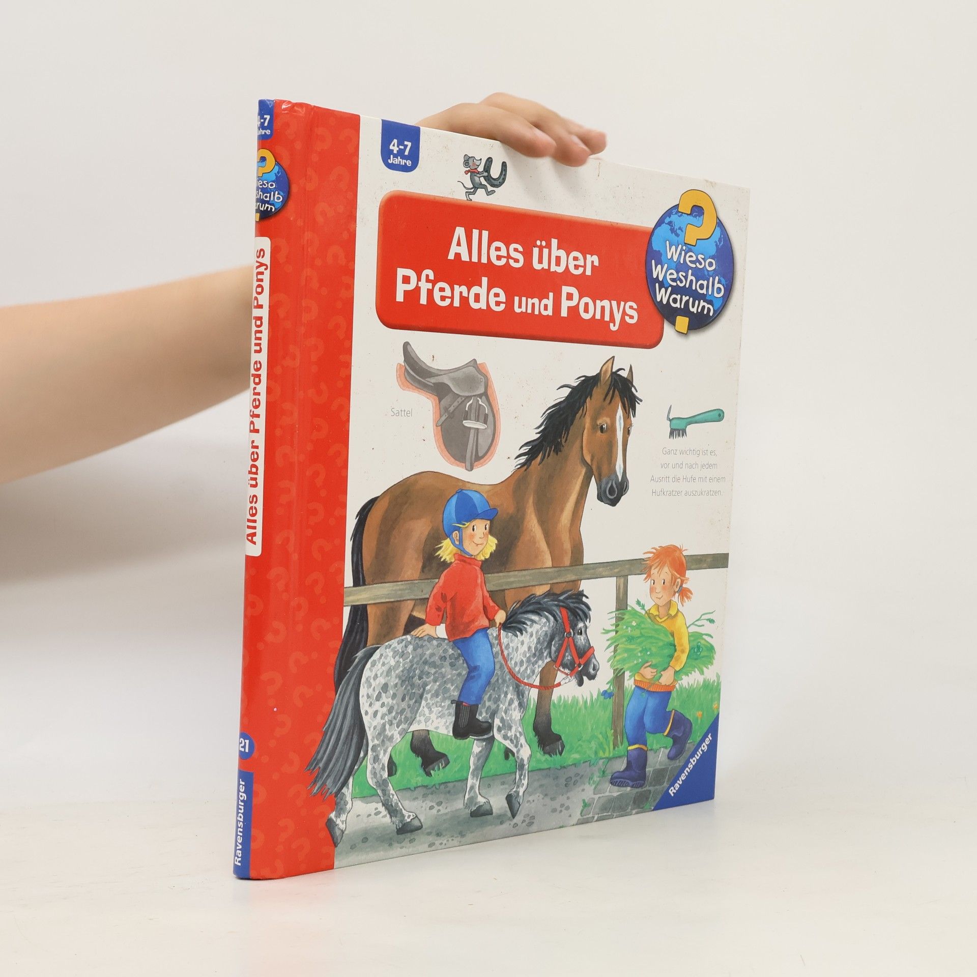 Andrea Erne Alles über Pferde und Ponys