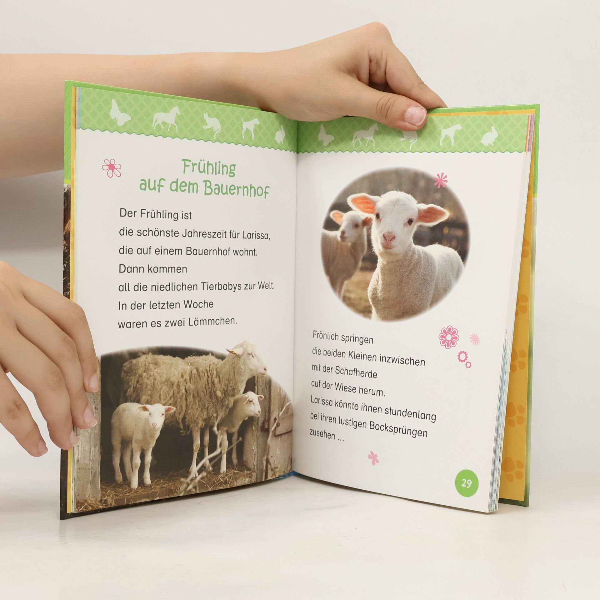 Various authors Abenteuer Tiere. Meine besten Tierfreunde