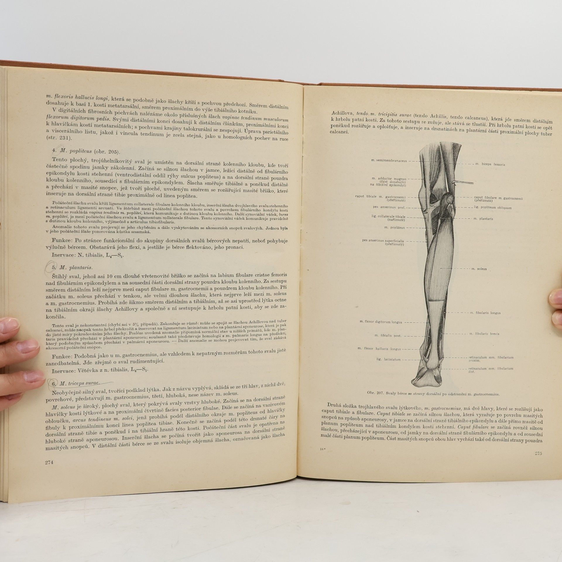 Various authors Soustavná anatomie člověka I.