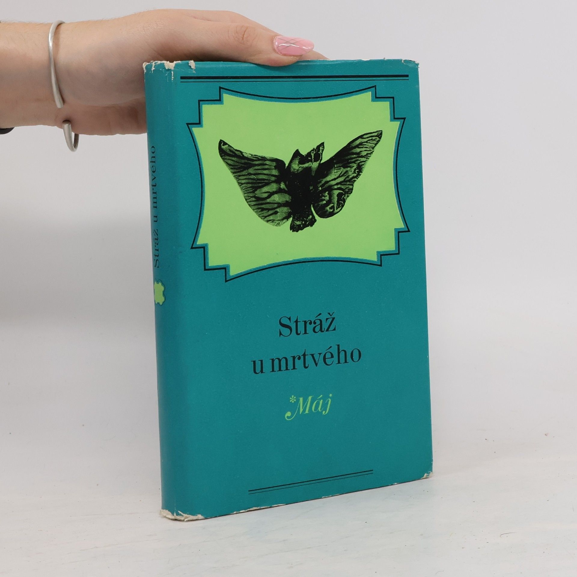 Autorenkollektiv Stráž u mrtvého