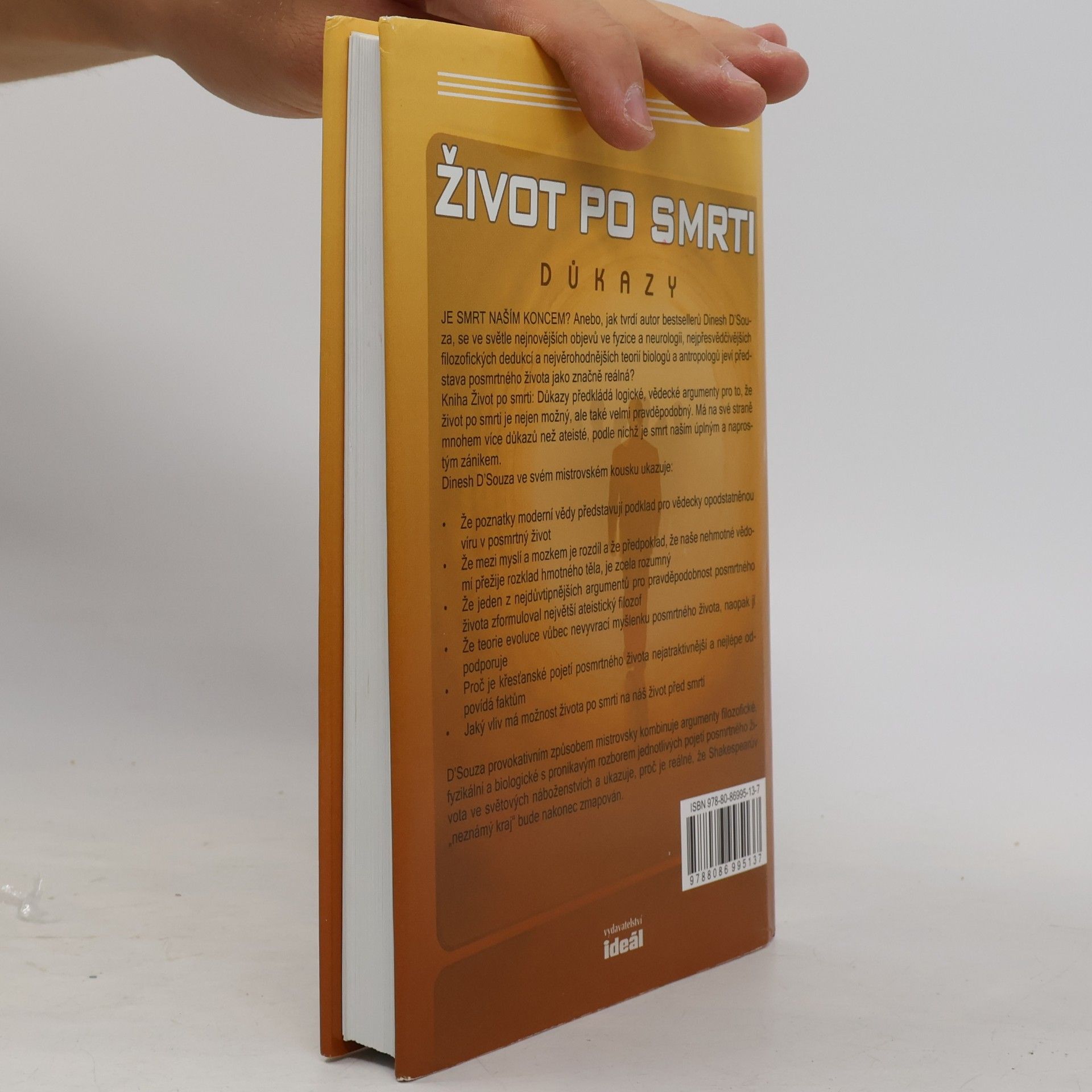 Dinesh D'Souza Život po smrti