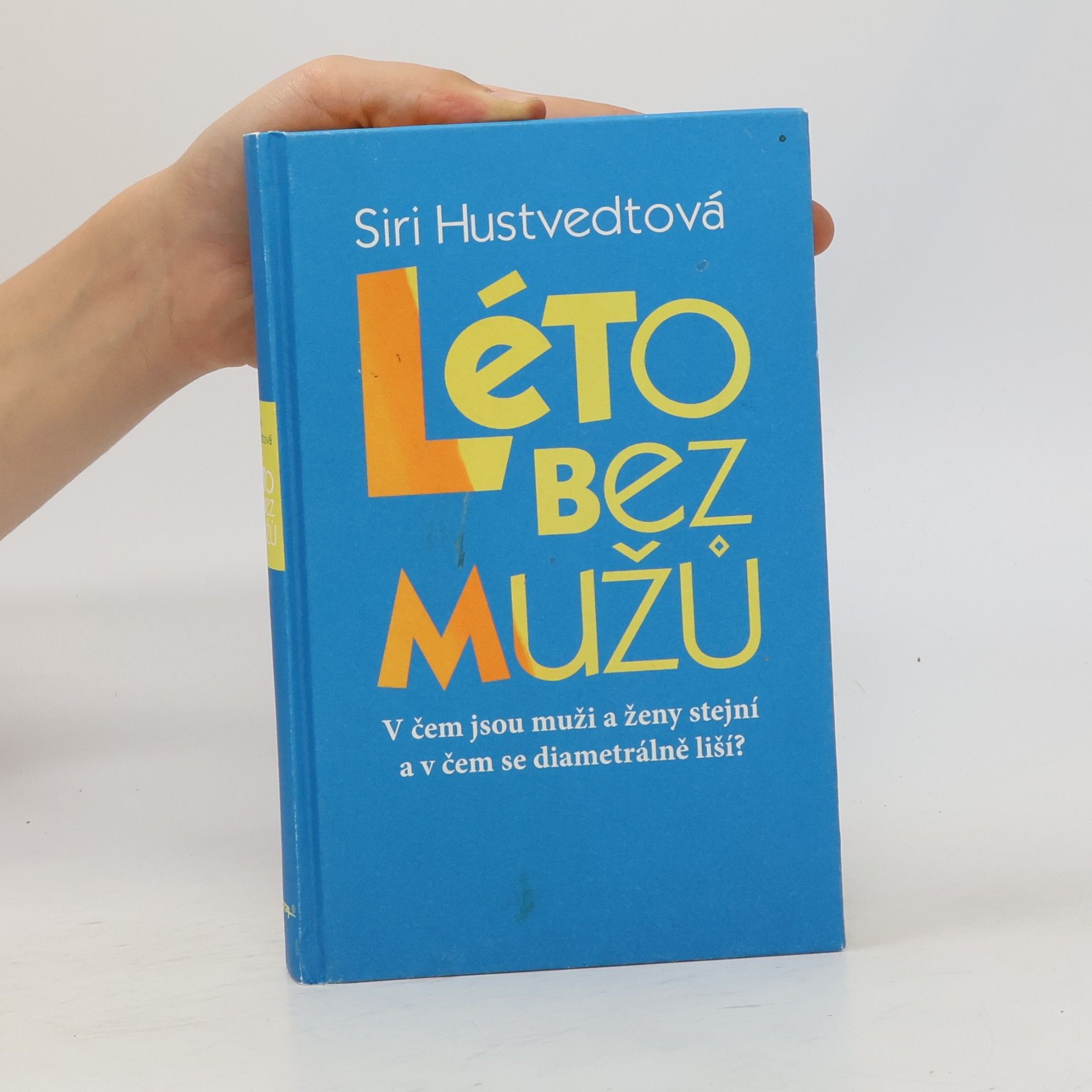 Siri Hustvedt Léto bez mužů