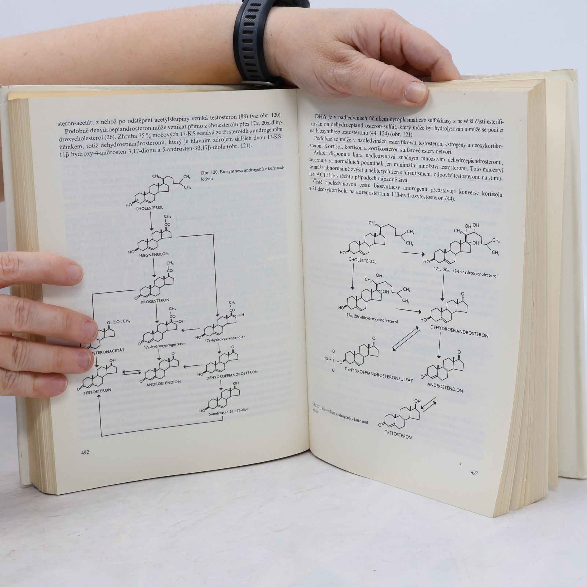 Jaroslav Hořejší Základy klinické biochemie ve vnitřním lékařství