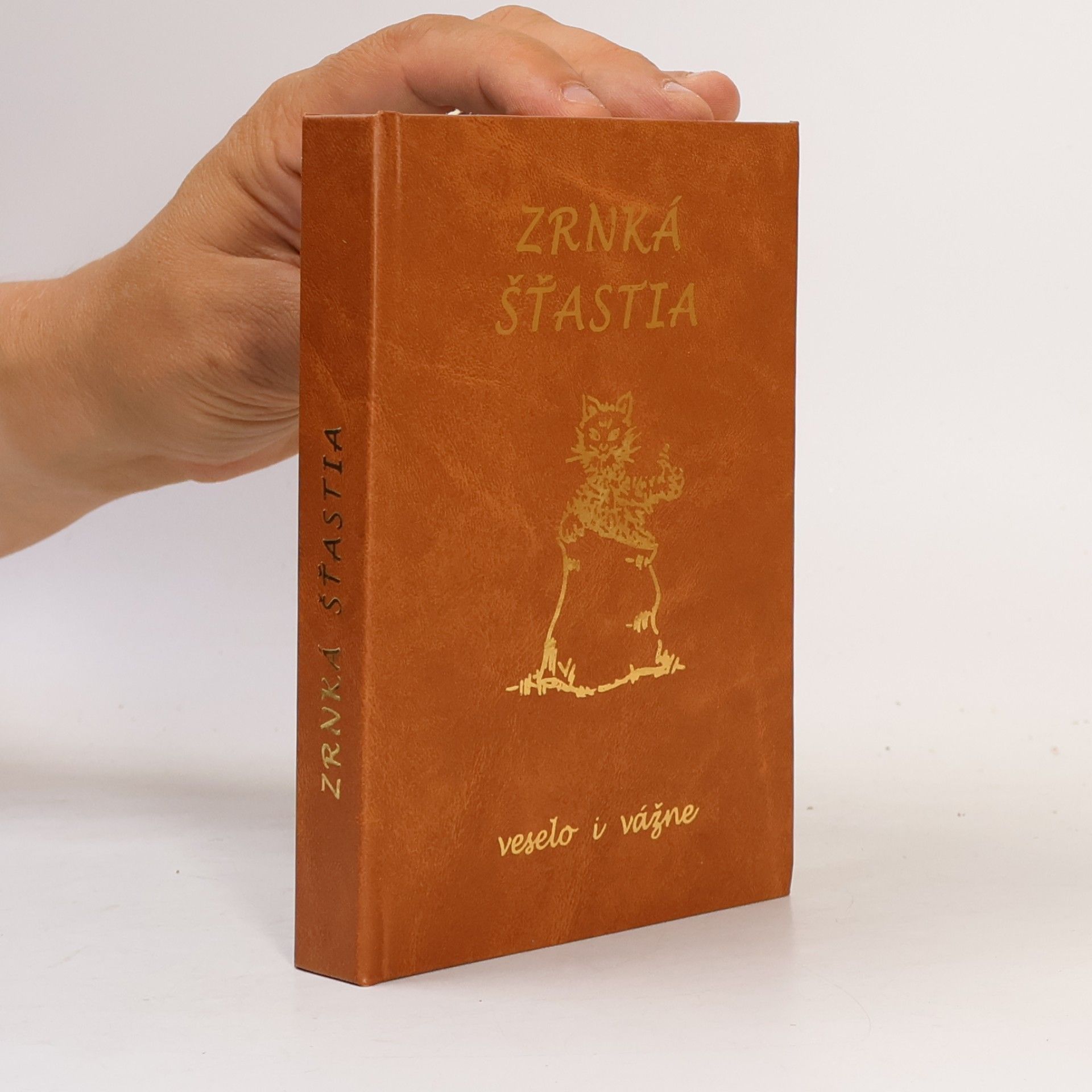 Kolektív autorov Zrnká šťastia