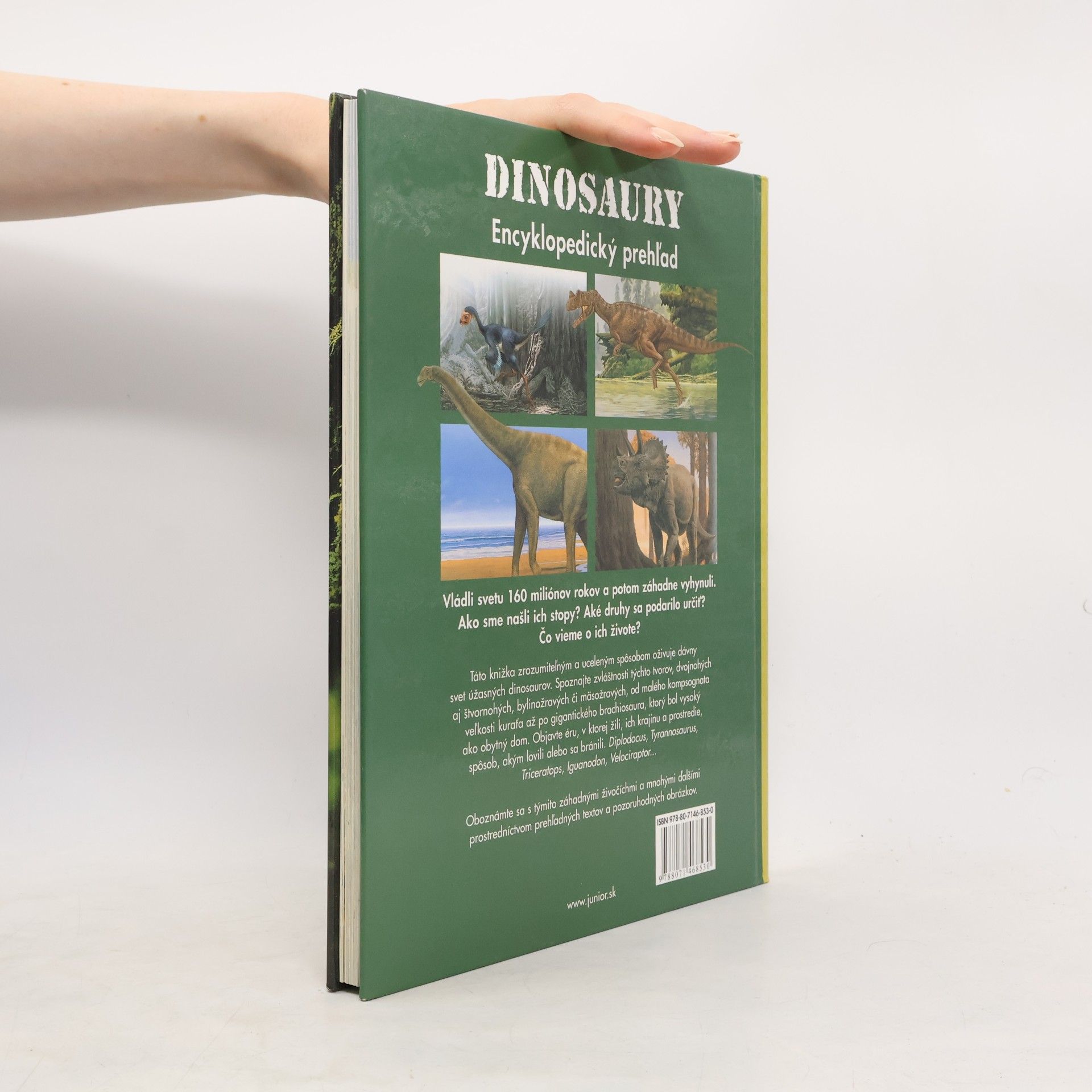 Raúl Martín Dinosaury : Encyklopedický prehľad