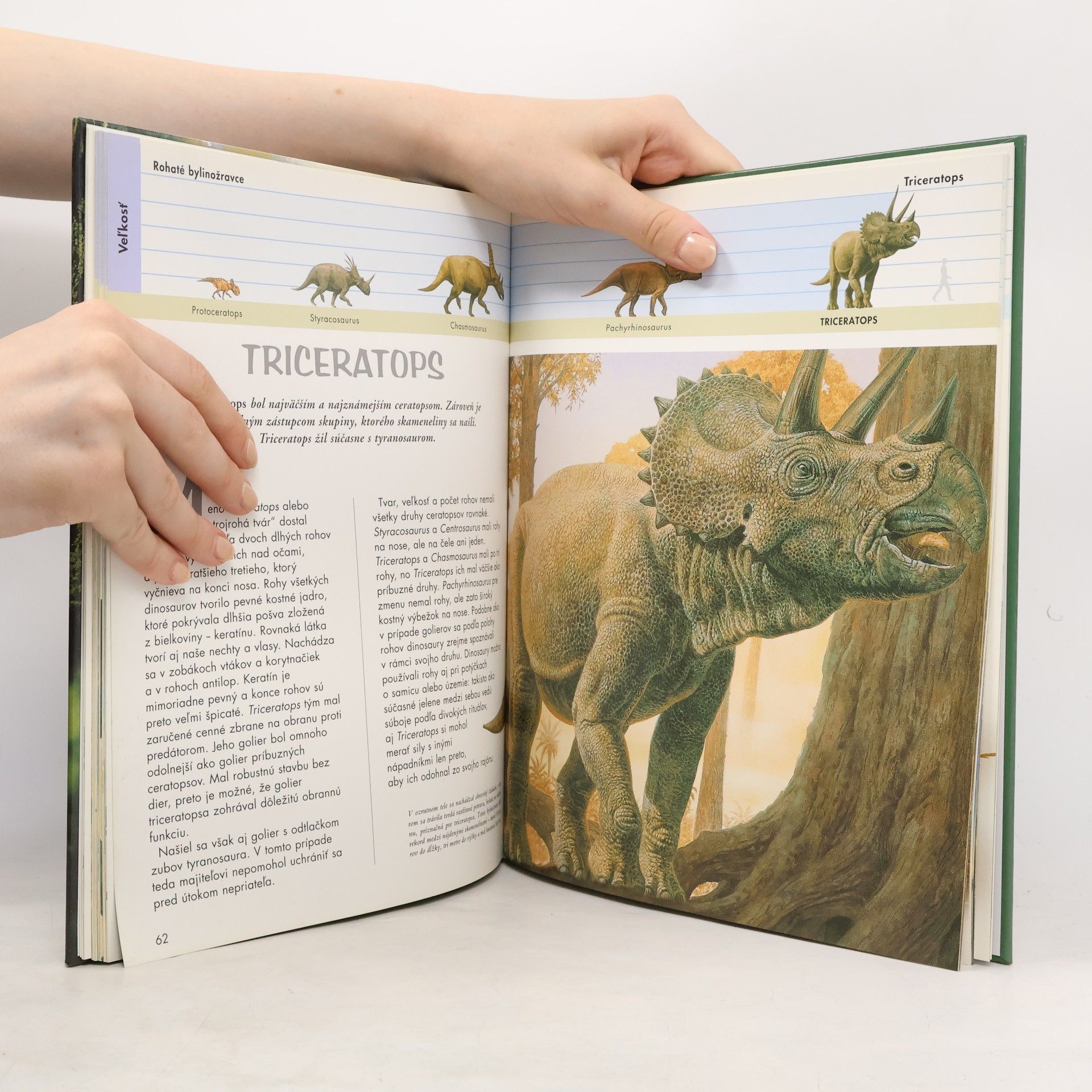 Raúl Martín Dinosaury : Encyklopedický prehľad