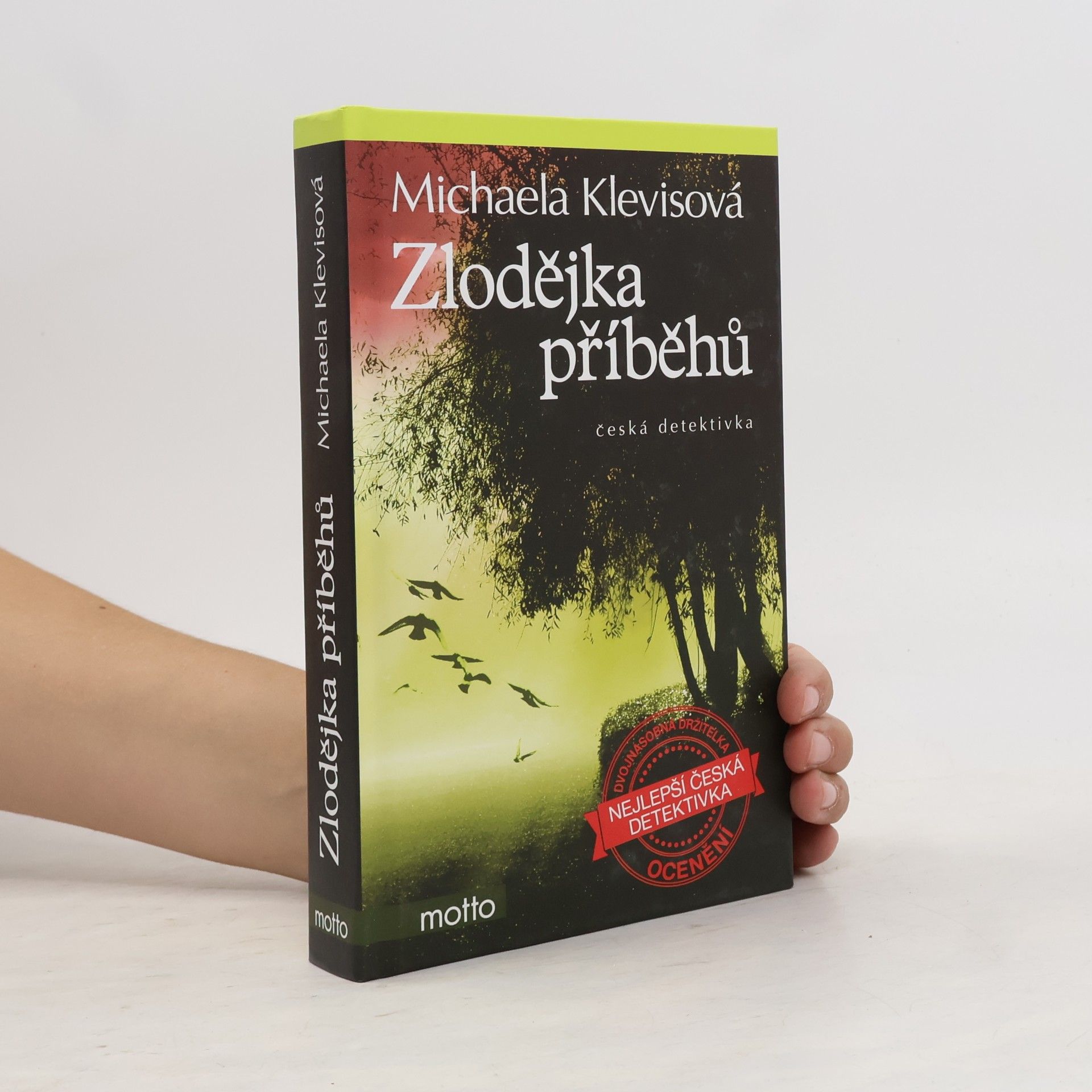 Michaela Klevisová Zlodějka příběhů
