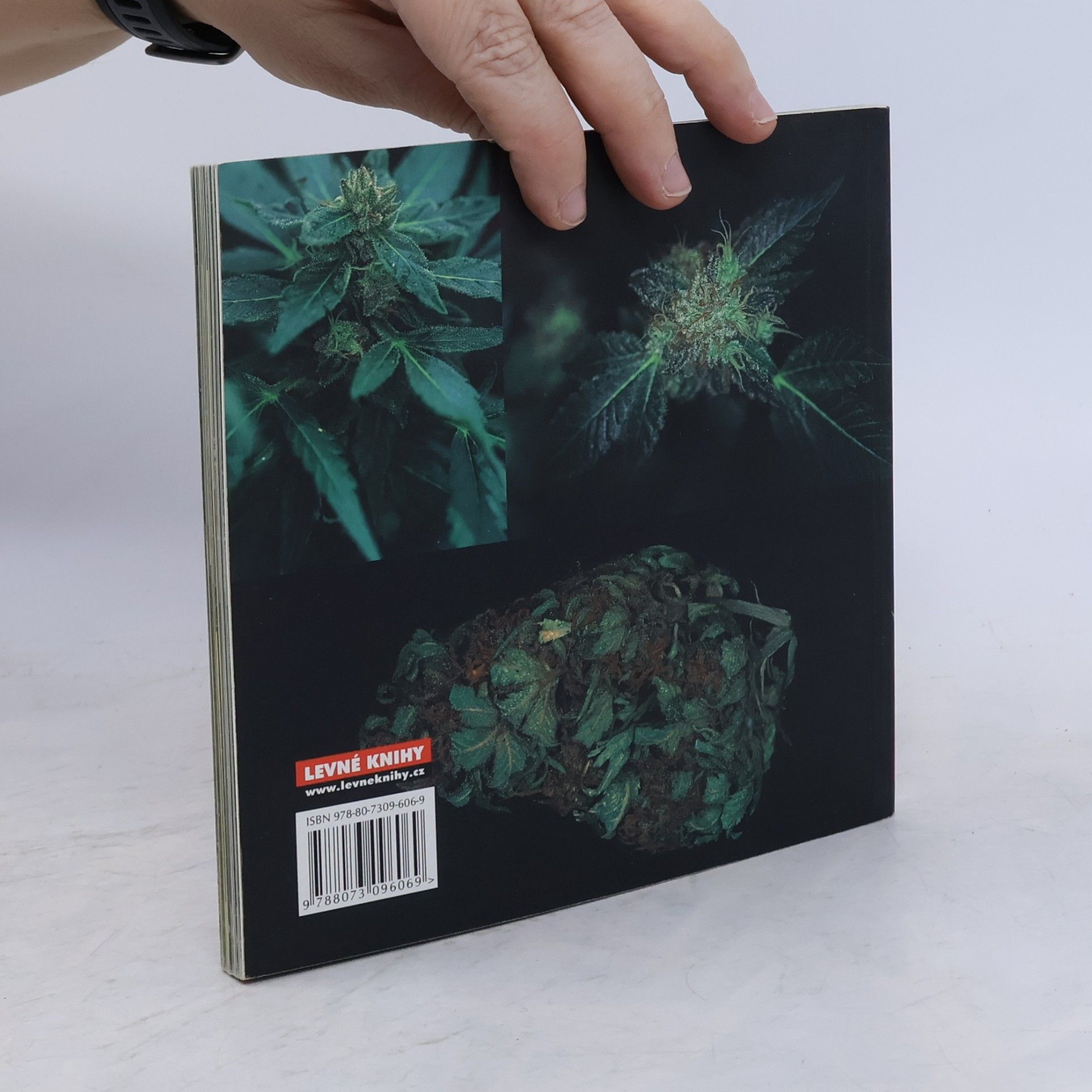 Jason King Cannabible