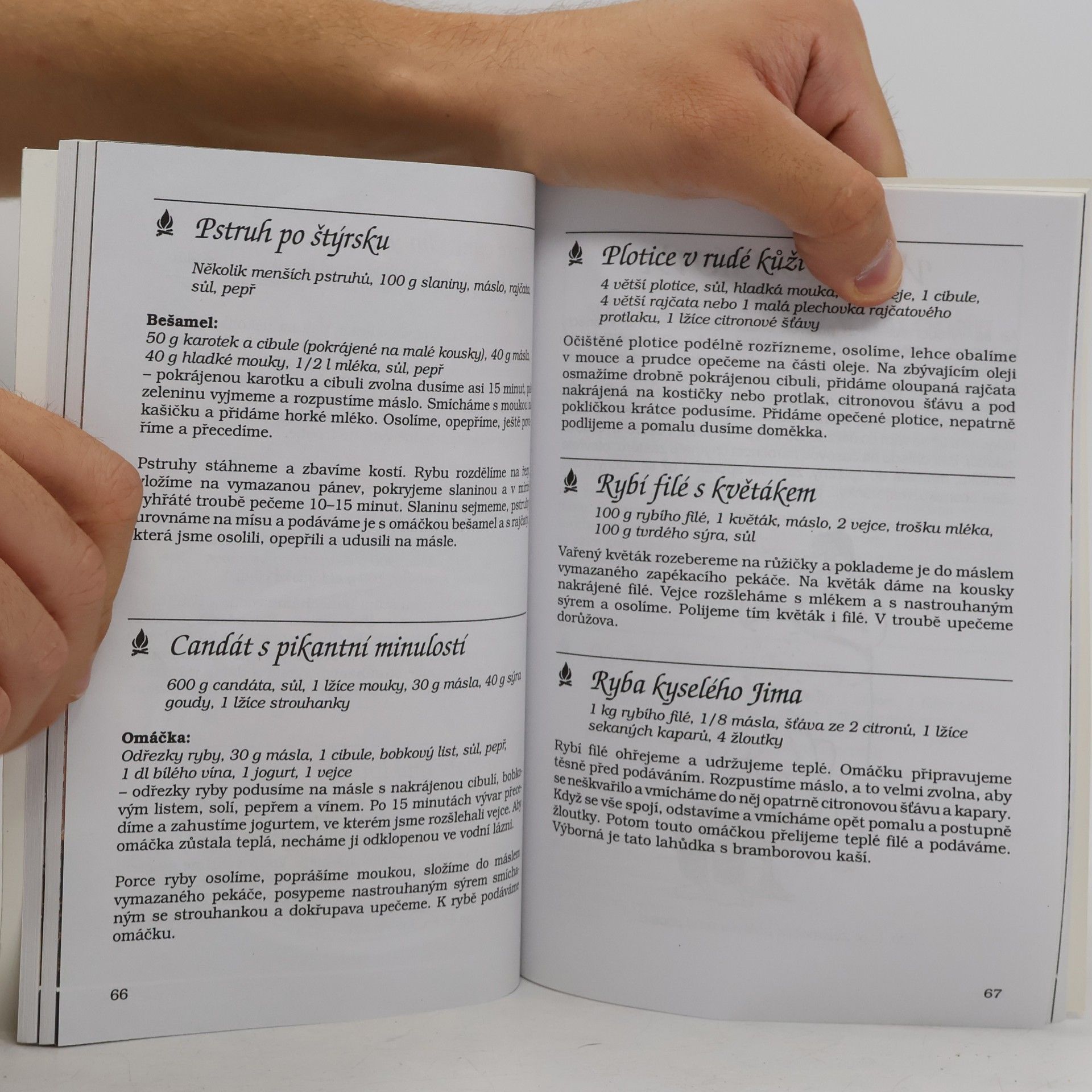 Various authors Kotlík aneb kuchařka Eldorádia
