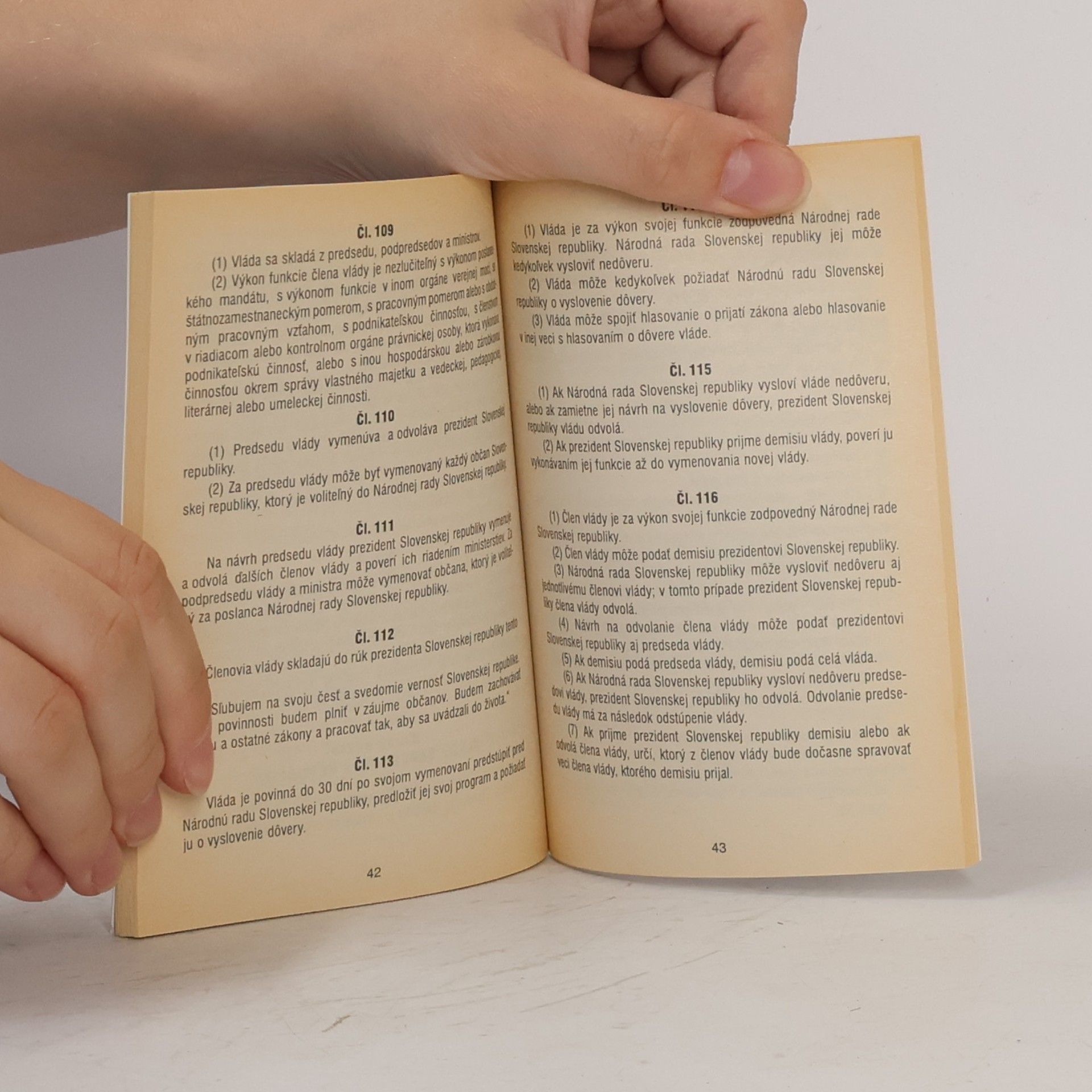 Autorenkollektiv Ústava Slovenskej republiky