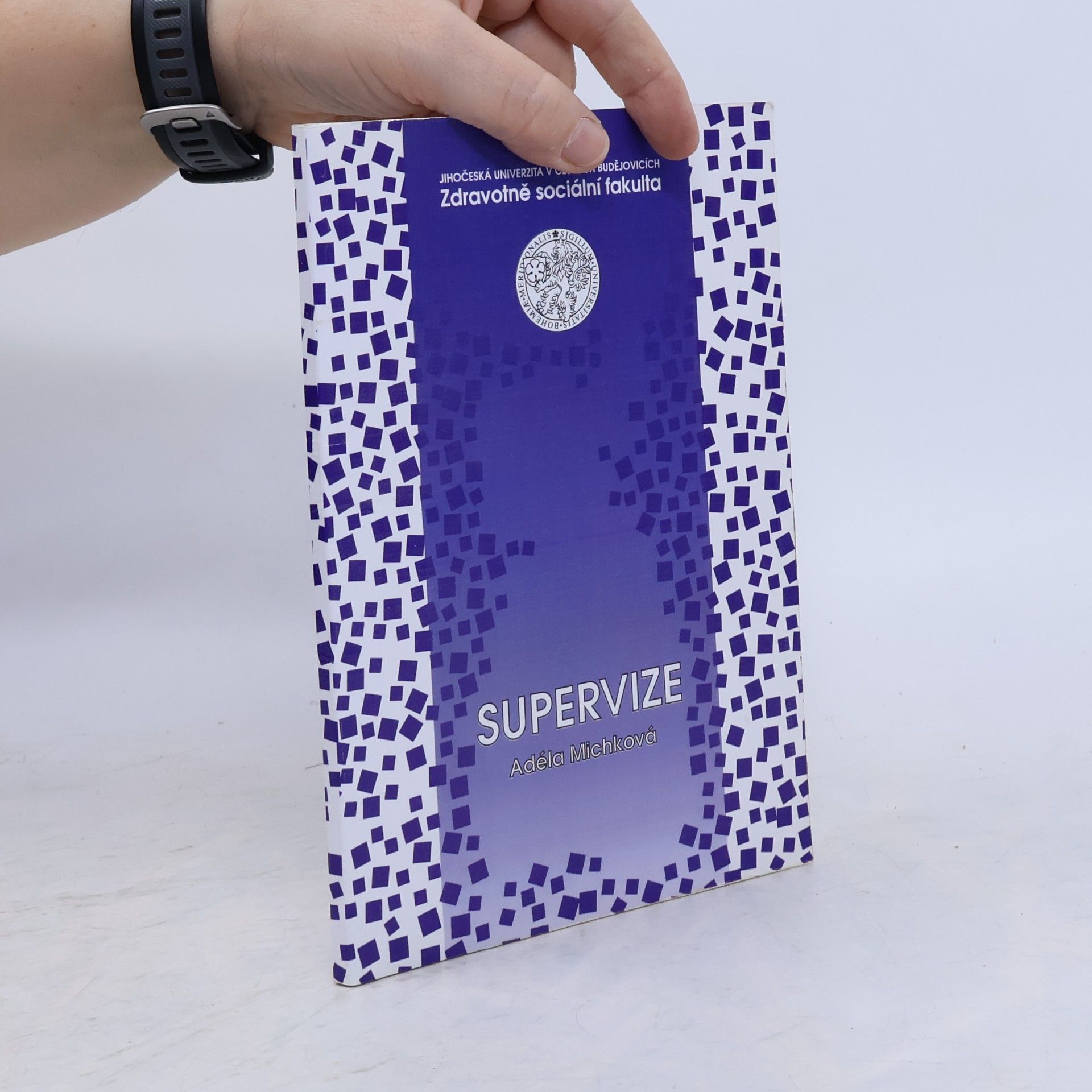 Supervize