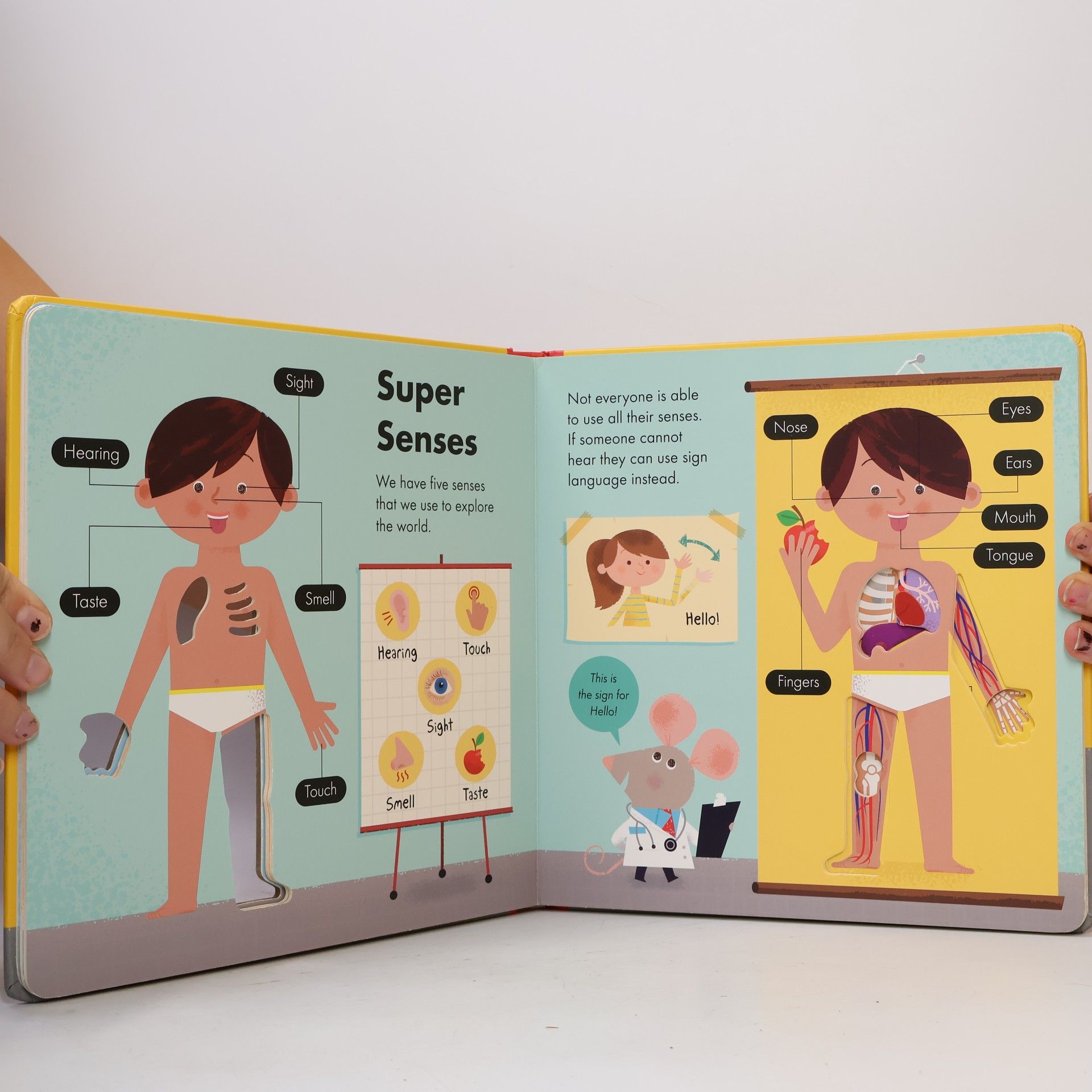Amelia Hepworth How It Works Human Body