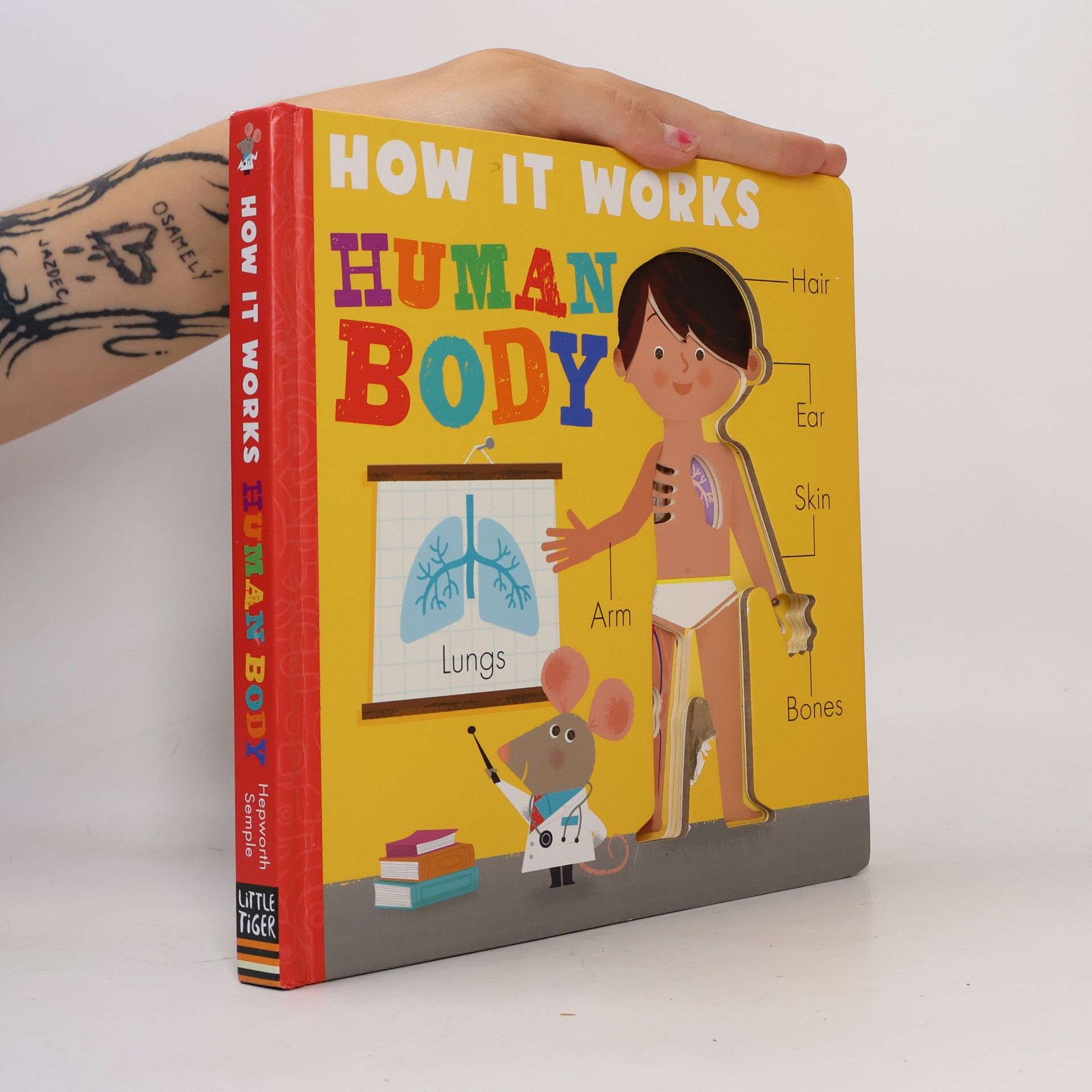 Amelia Hepworth How It Works Human Body