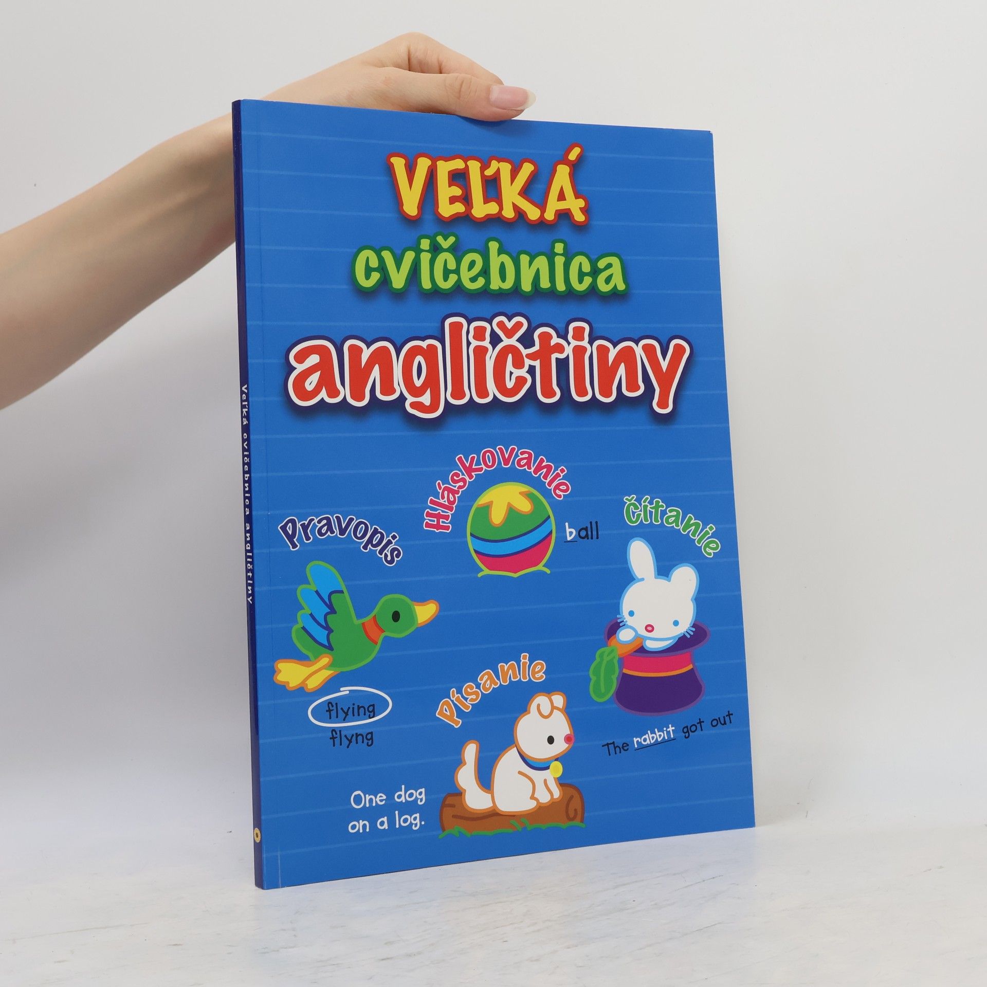 Nakladatelství SUN s.r.o Veľká cvičebnica angličtiny